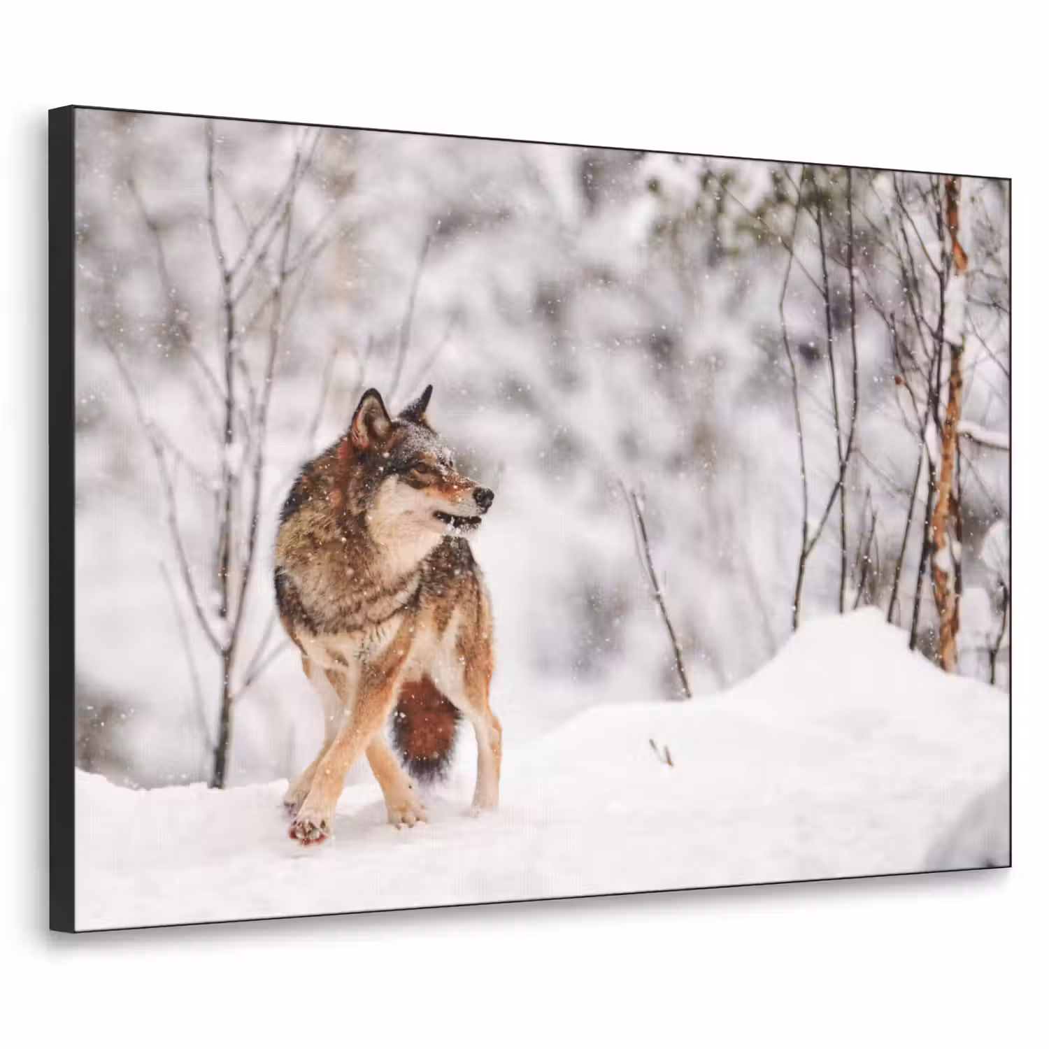Wolf - Winter - Sneeuw - Natuur - Dieren Textielframe - compleet frame klein -3d