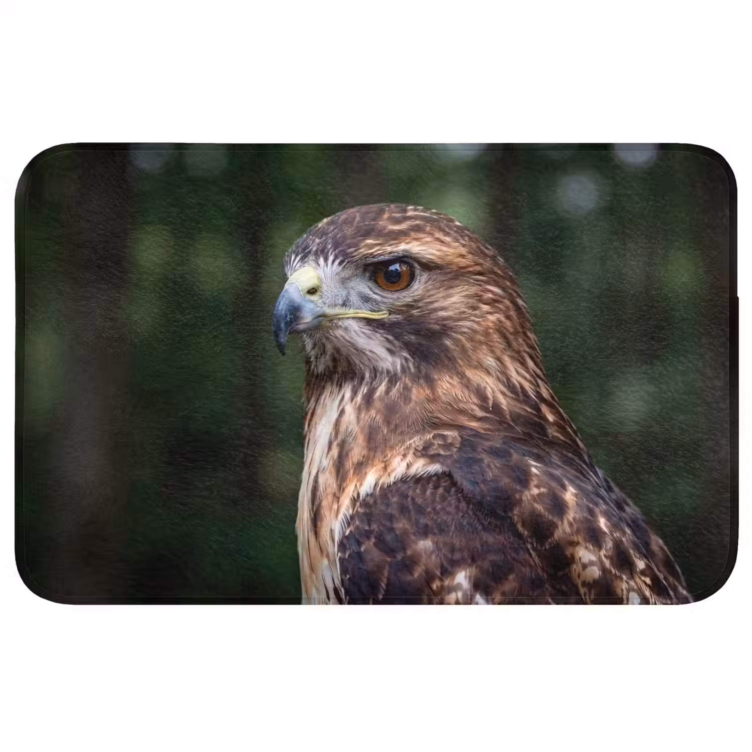Buizerd - Roofvogel - Natuur - Bruin Badmat middel -3d
