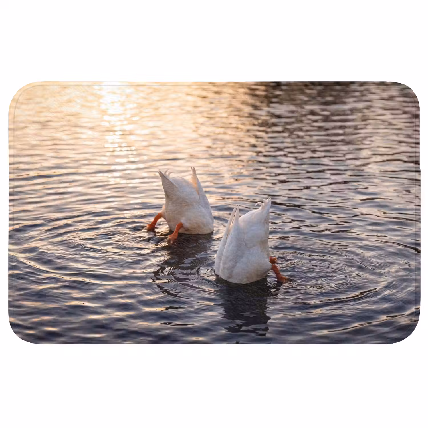Eenden - Water - Natuur Badmat middel -3d