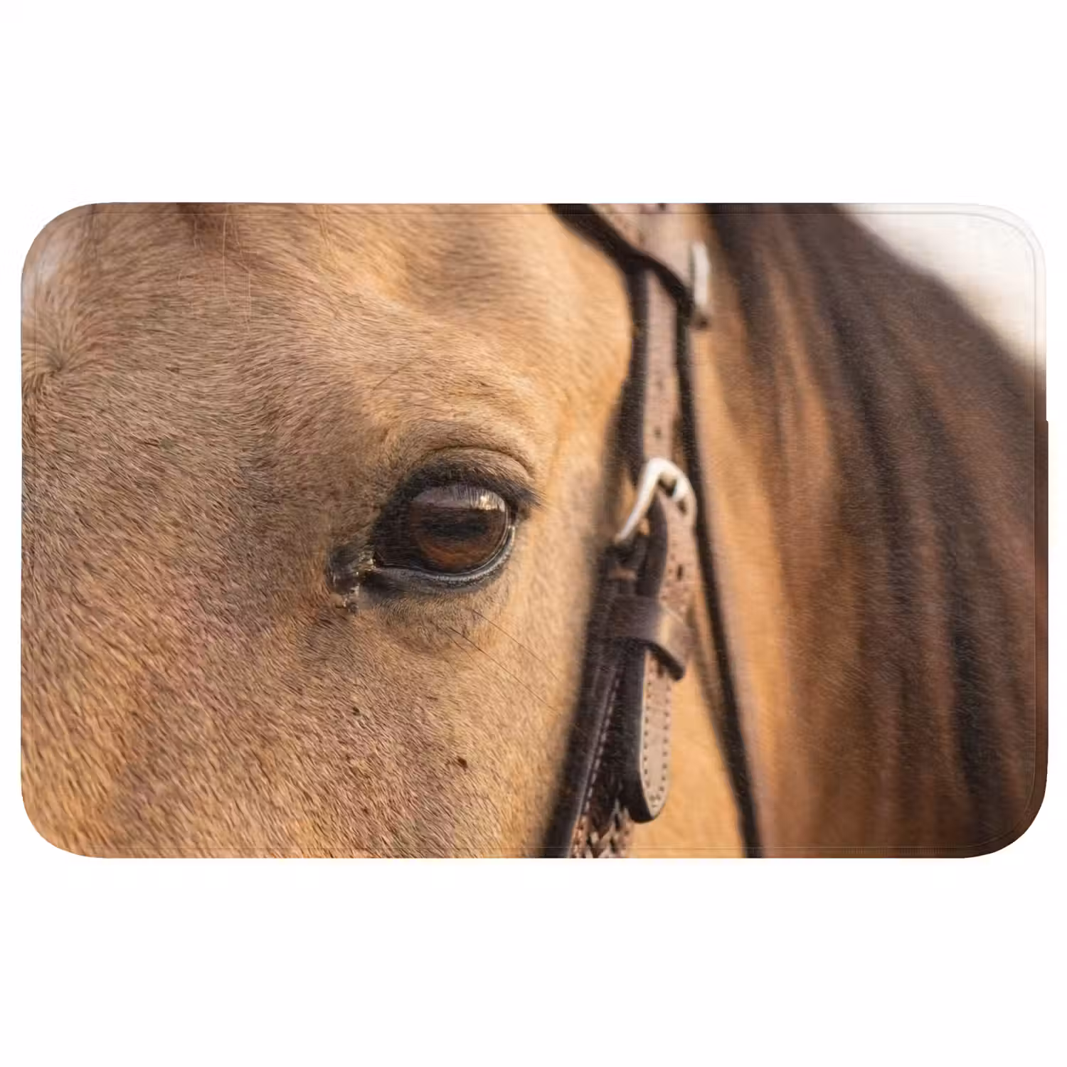 Paard - Oog - Bruin Badmat middel -3d