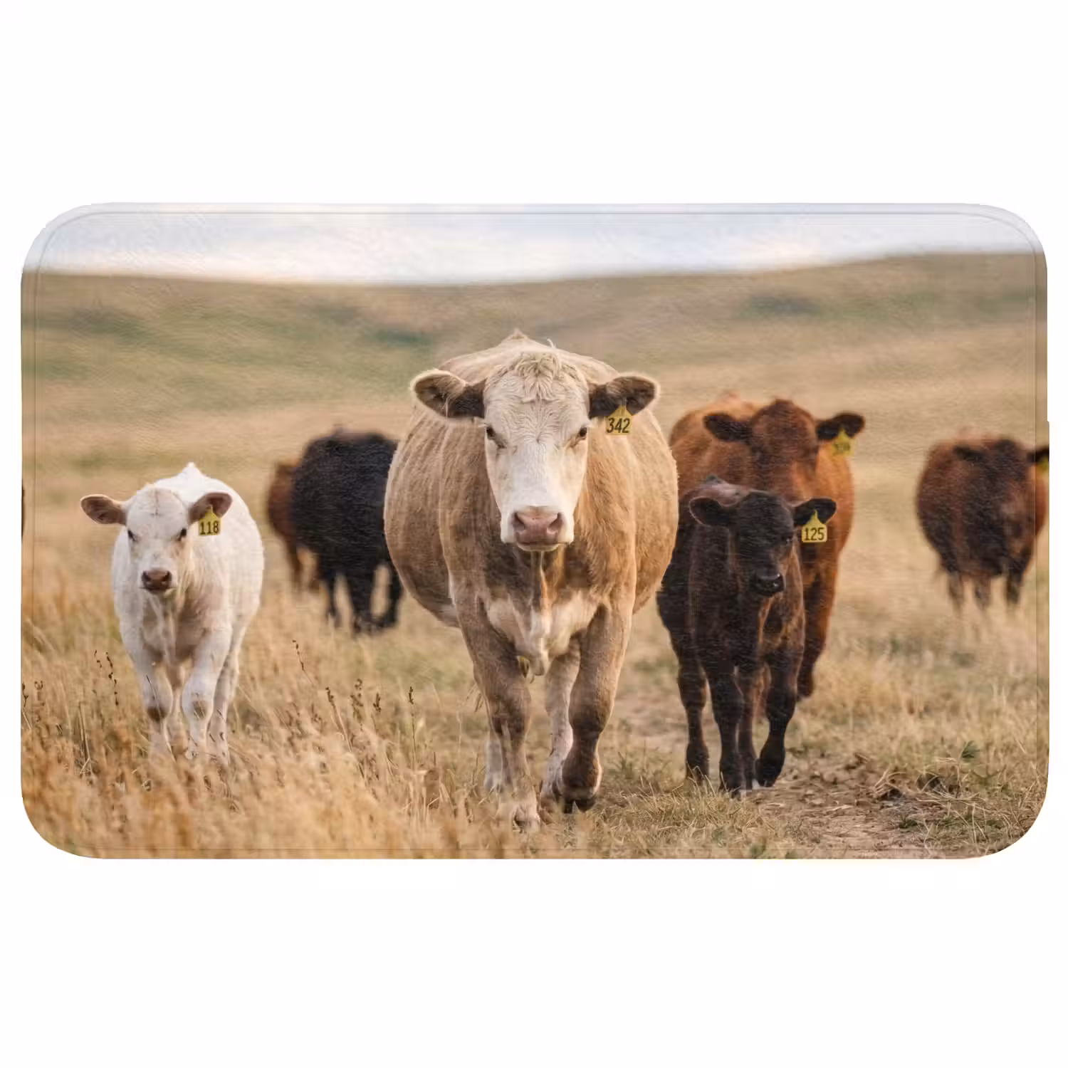Runderen - Kudde - Landschap - Weide - Rustig Badmat middel -3d