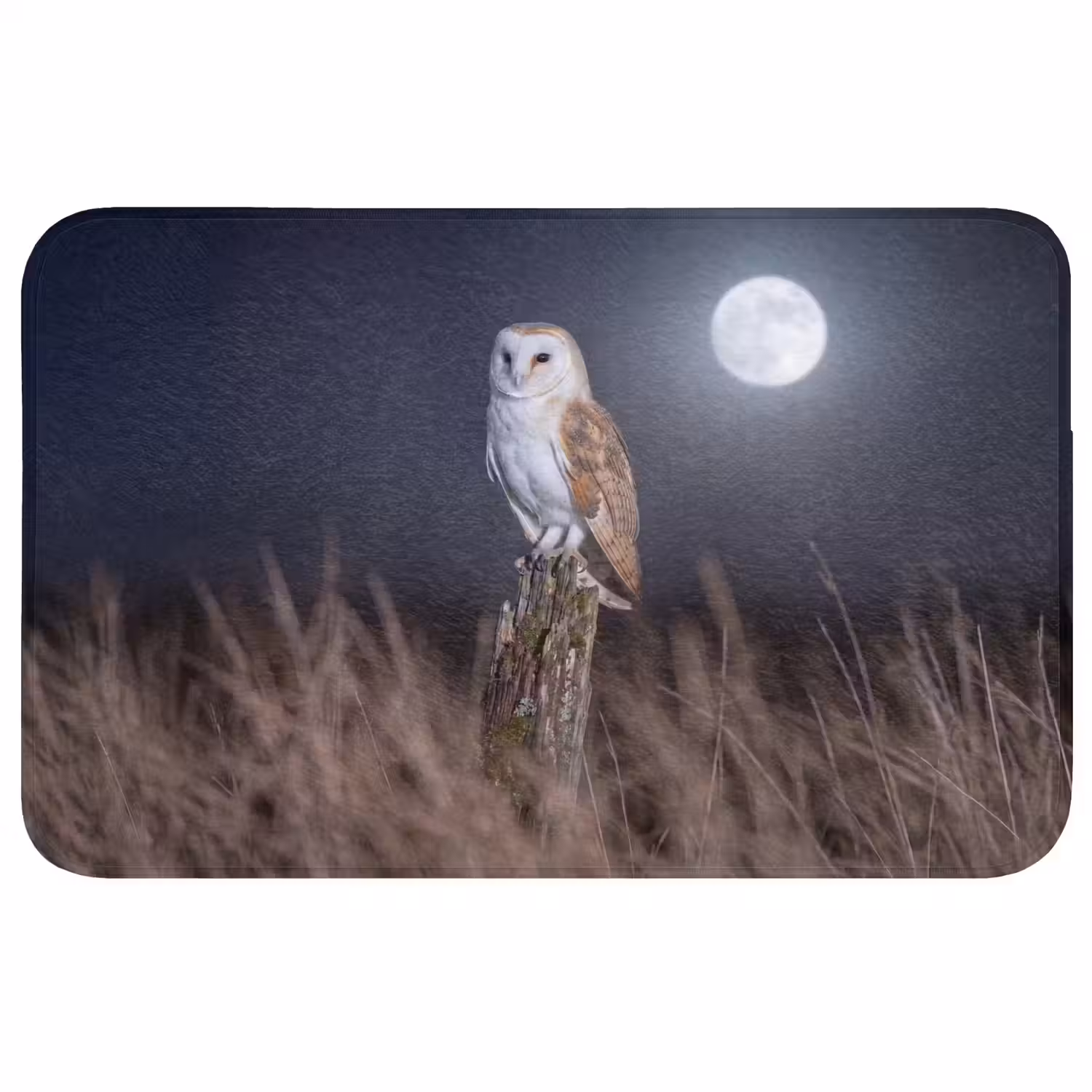 Kerkuil - Maan - Nacht Badmat middel -3d
