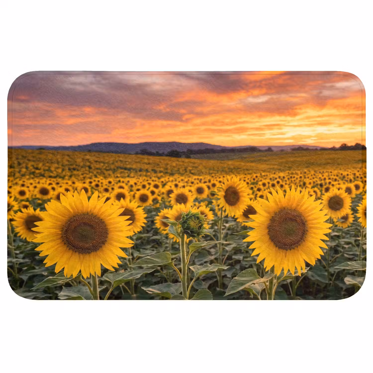 Zonnebloemen - Heuvellandschap - Geel Badmat middel -3d