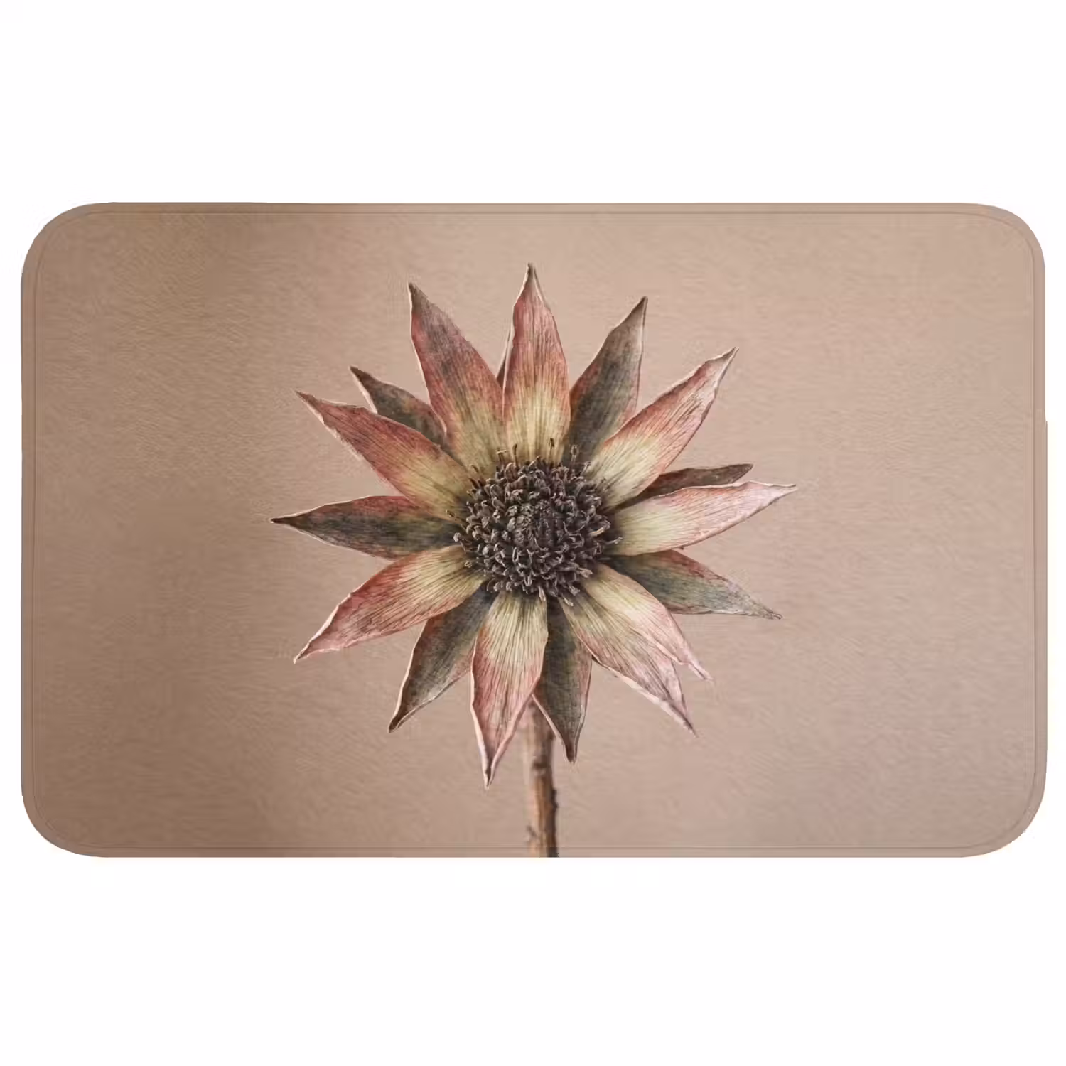 Droogbloem - Protea - Vintage - Beige - Rustiek Badmat middel -3d
