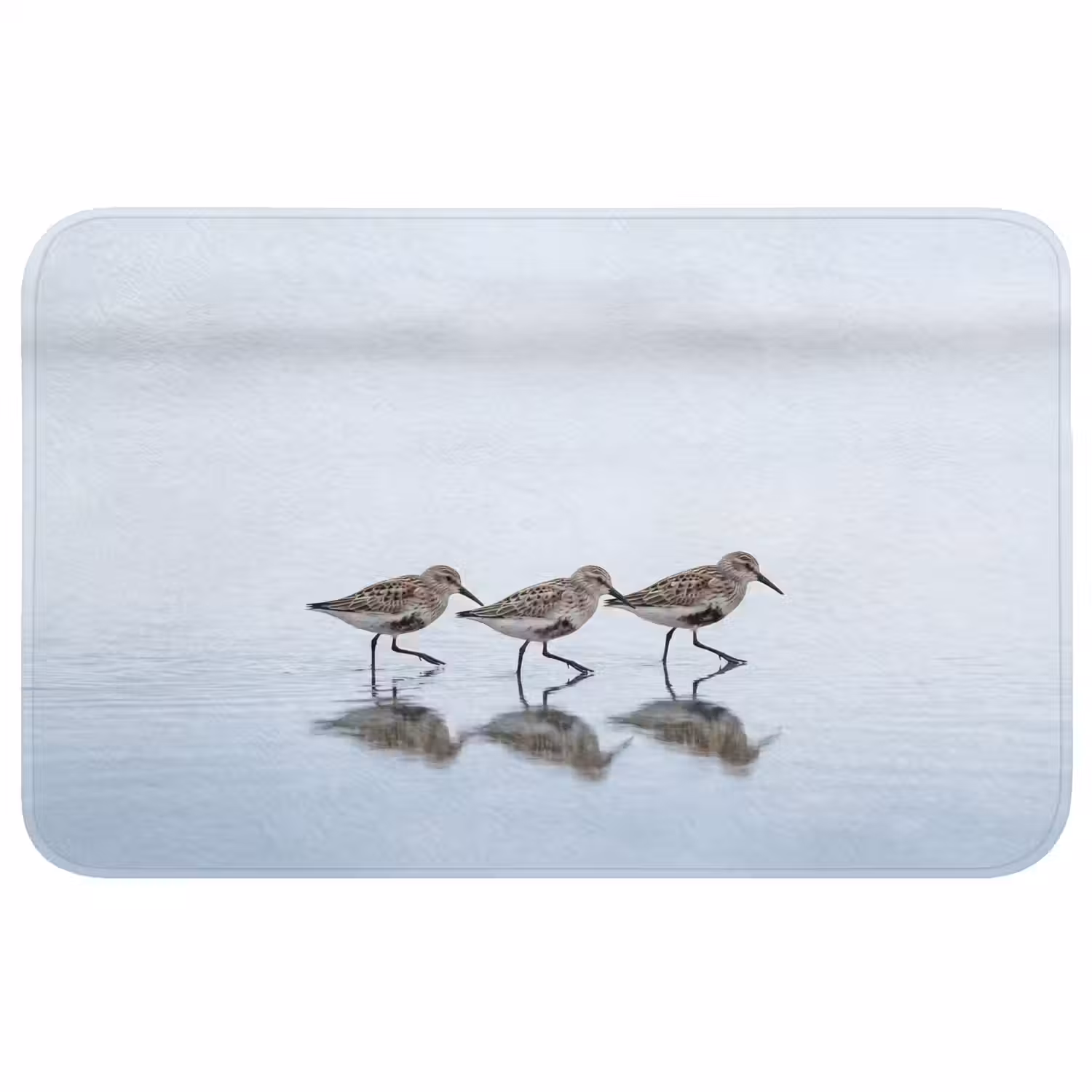 Vogels - Water - Grijs Badmat middel -3d