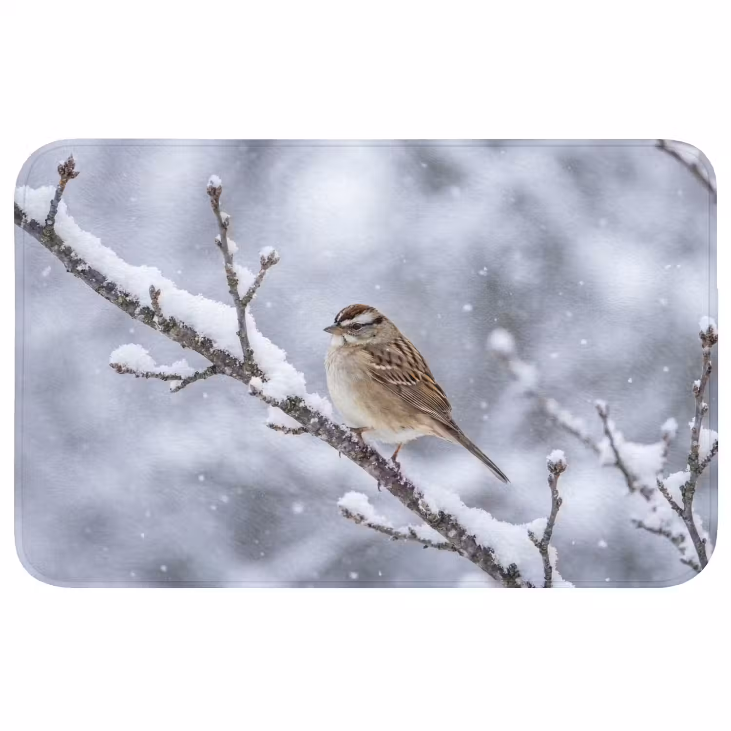 Vogel - Tak - Sneeuw - Winter Badmat middel -3d