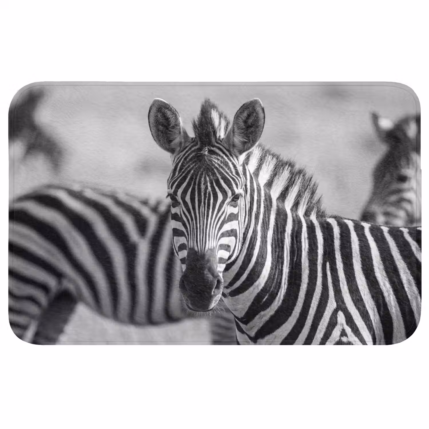 Zebra's - Zwart - Wit Badmat middel -3d