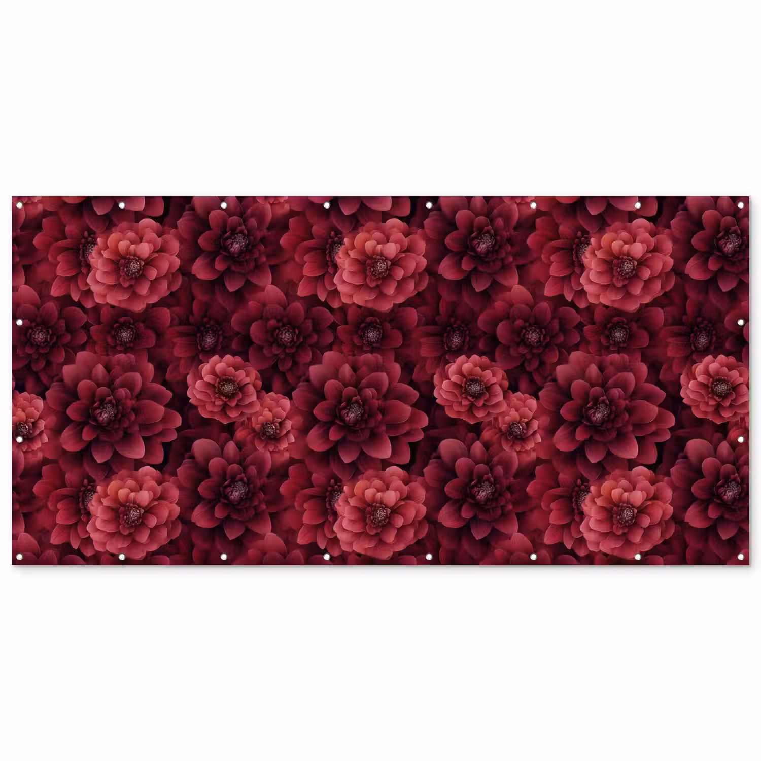 Dahlias - Bloemen - Rood Balkonbeschermer Duitsland klein 596 -zz_3d