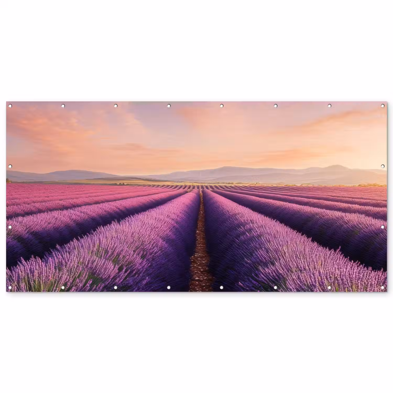Lavendelveld - Zonsondergang - Paars - Bloemen Balkonbeschermer Duitsland klein -zz_3d