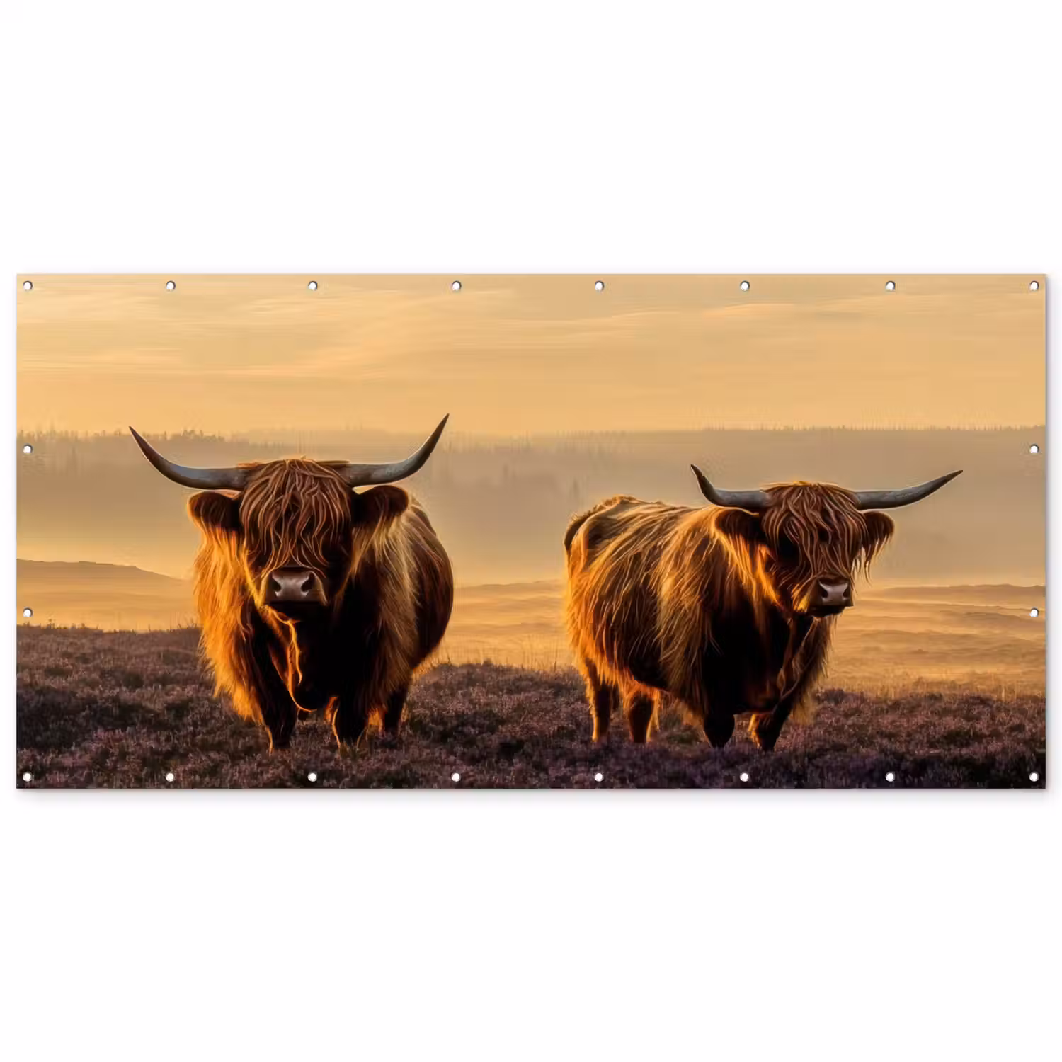 Schotse hooglanders - Heide - Landschap - Dieren Balkonbeschermer Duitsland klein -zz_3d