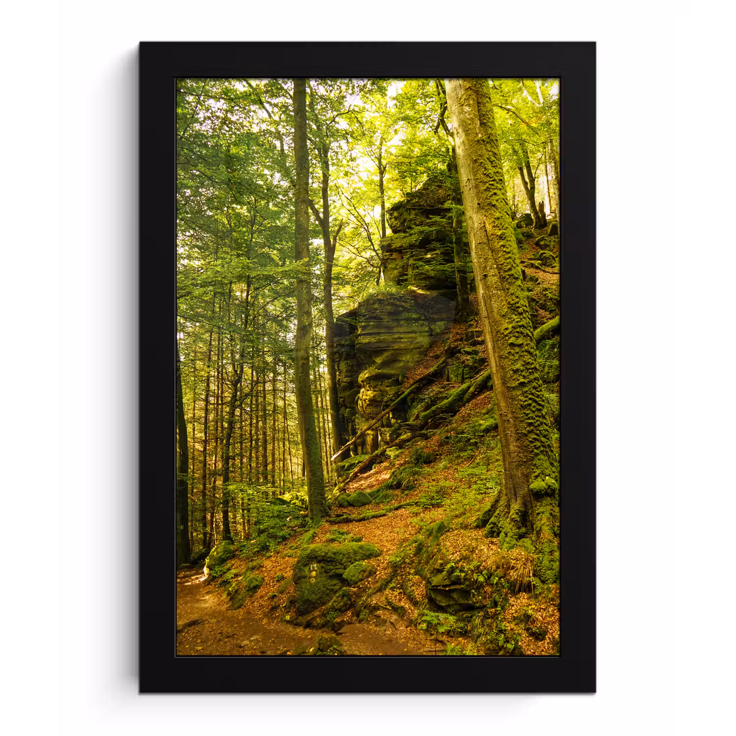 Bomen - Steen - Bos - Natuur - Planten fotolijst zwart zonder passe partout klein -3d
