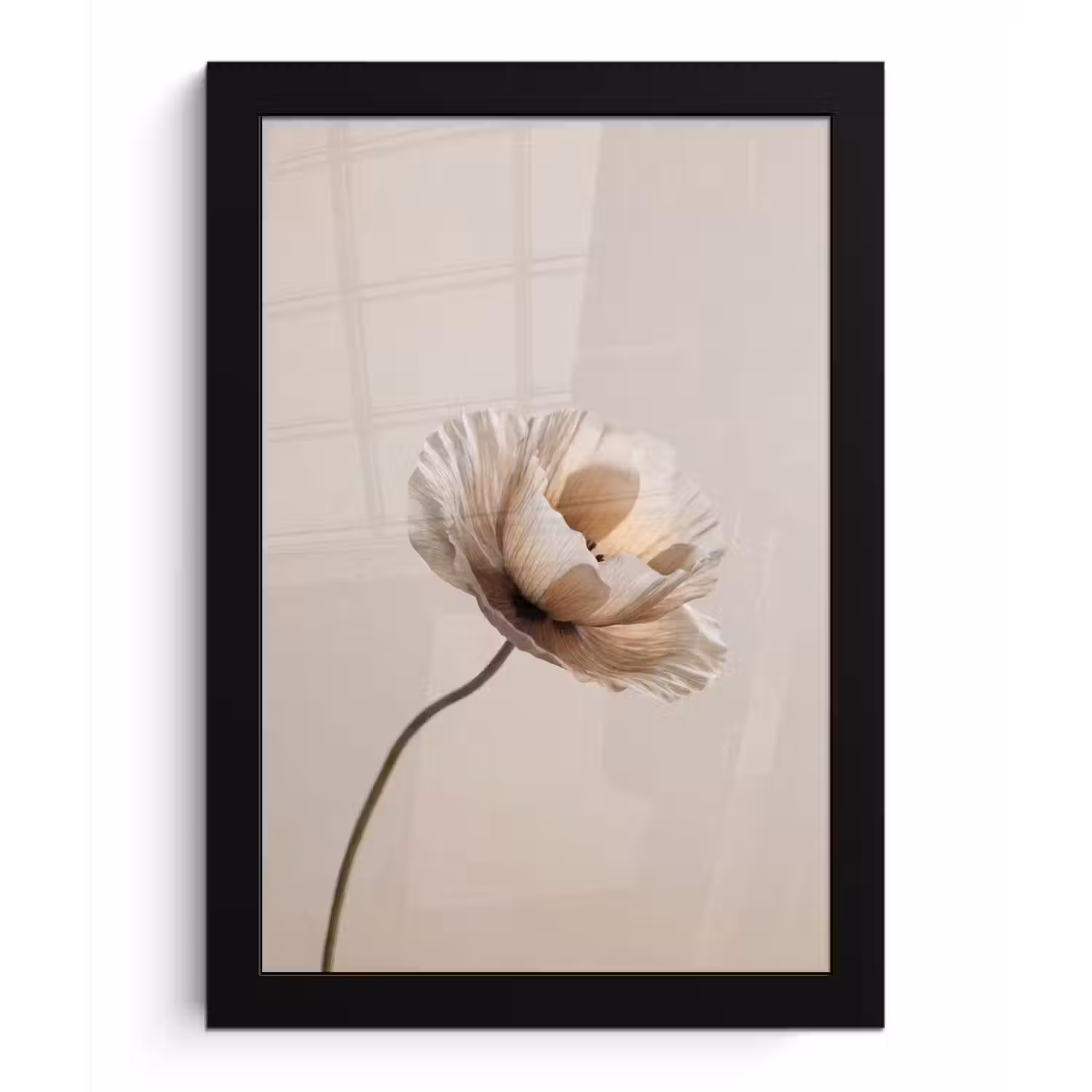 Bloem - Beige - Crème fotolijst zwart zonder passe partout klein -3d