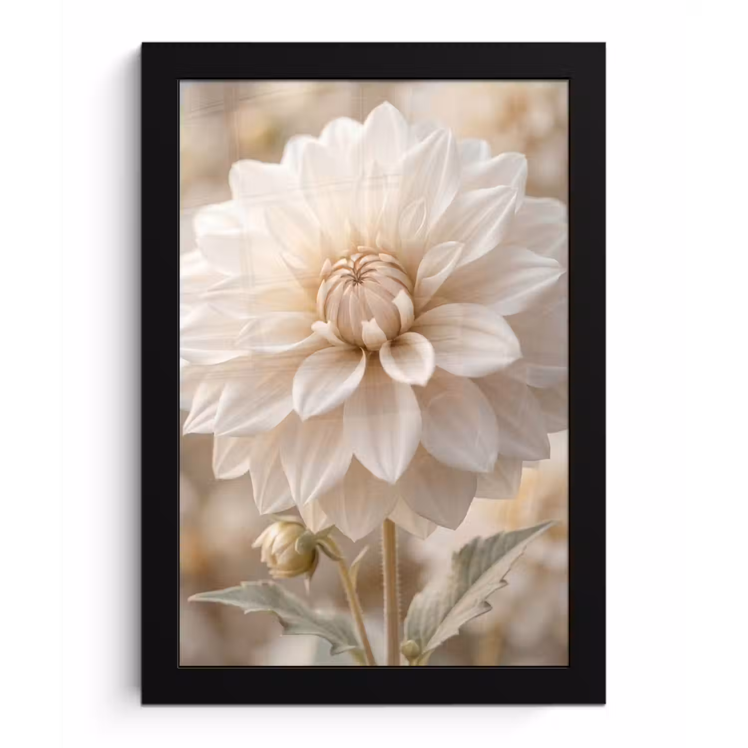 Bloem - Dahlia - Wit fotolijst zwart zonder passe partout klein -3d