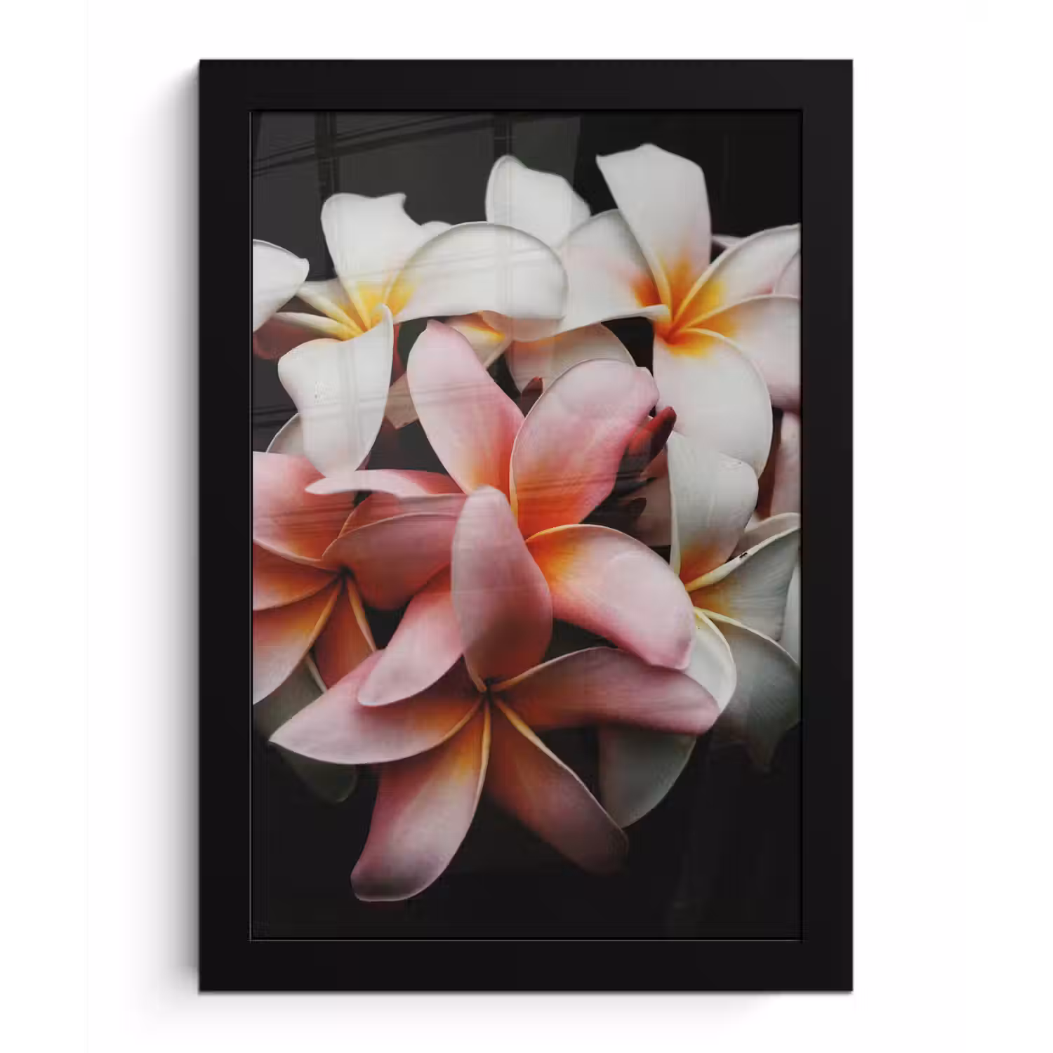 Bloemen - Roze - Zwart - Flora - Botanisch fotolijst zwart zonder passe partout klein -3d
