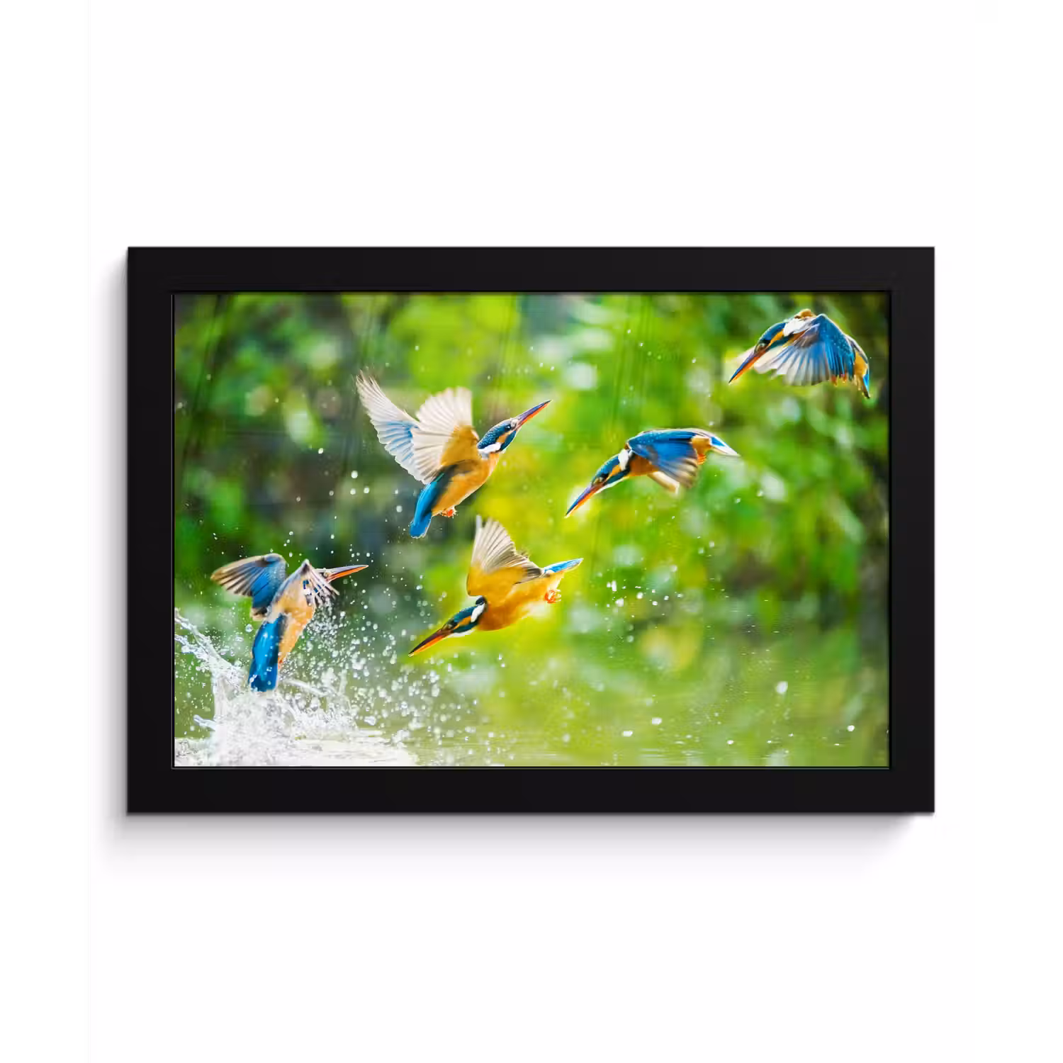 IJsvogels vliegen in het water fotolijst zwart zonder passe partout klein -3d