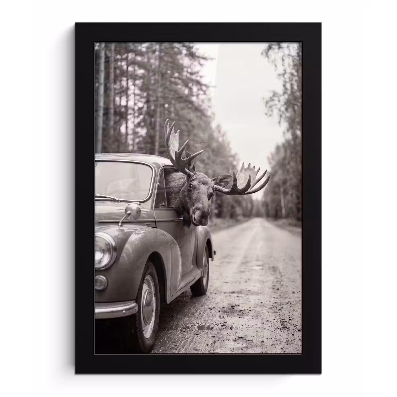Eland - Auto - Gewei - Zwart - Wit fotolijst zwart zonder passe partout klein -3d