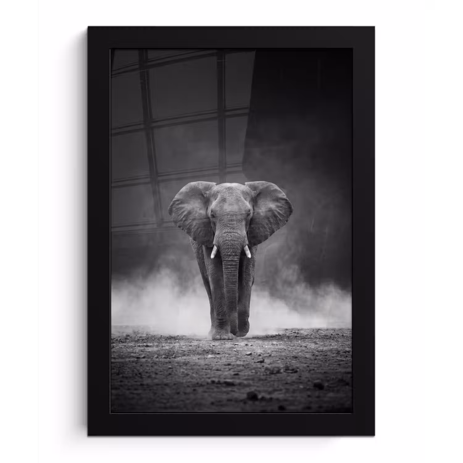 Olifant - Zwart - Wit - Rook fotolijst zwart zonder passe partout klein -3d
