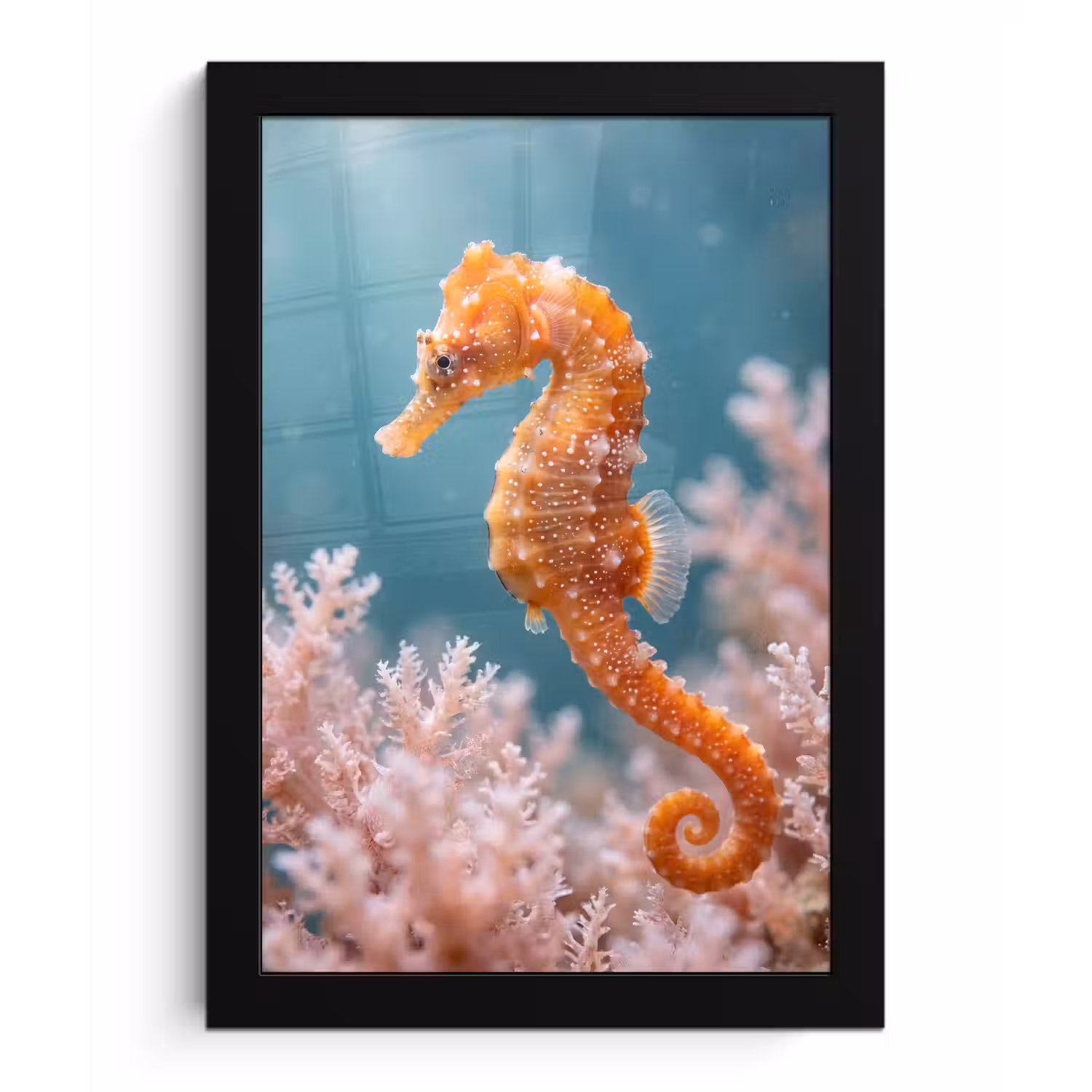 Vis - Koraal - Oceaan - Macro - Oranje fotolijst zwart zonder passe partout klein -3d