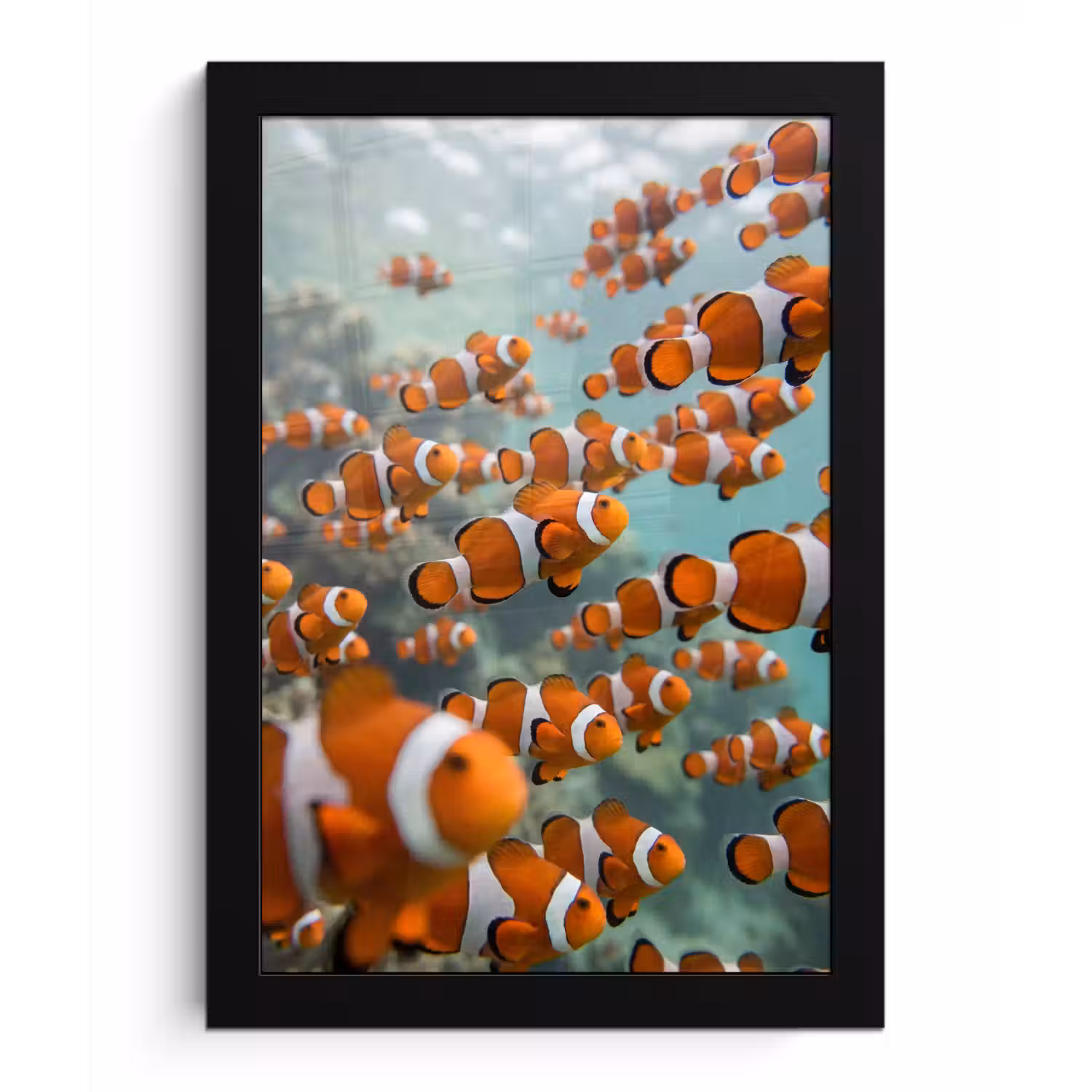 Vis - School - Onderwater - Dieren - Oranje fotolijst zwart zonder passe partout klein -3d