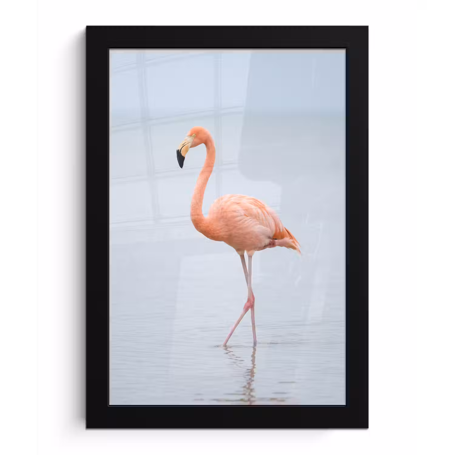 Flamingo - Zee - Roze fotolijst zwart zonder passe partout klein -3d