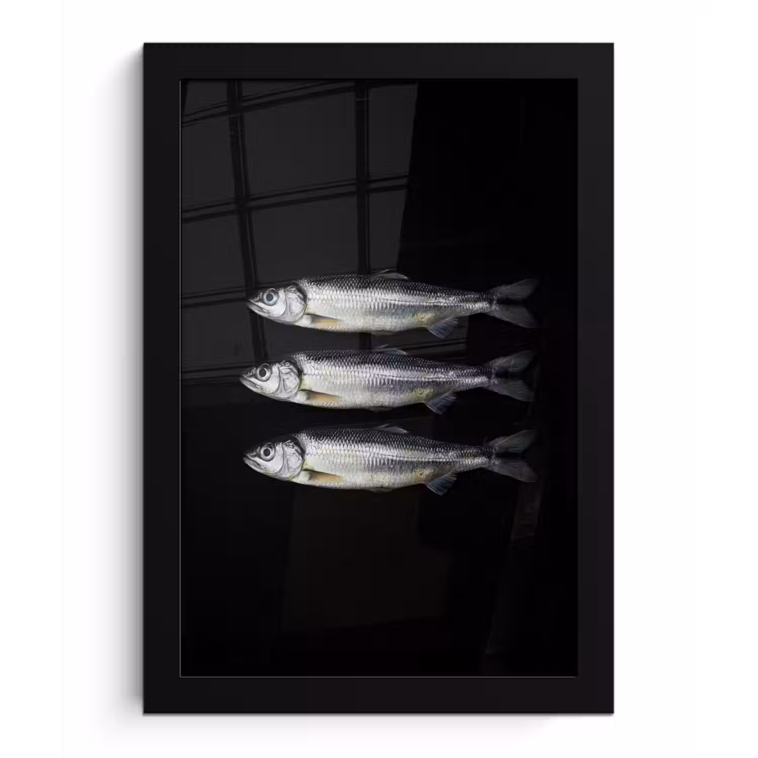Haring - Vissen - Zwart fotolijst zwart zonder passe partout klein -3d