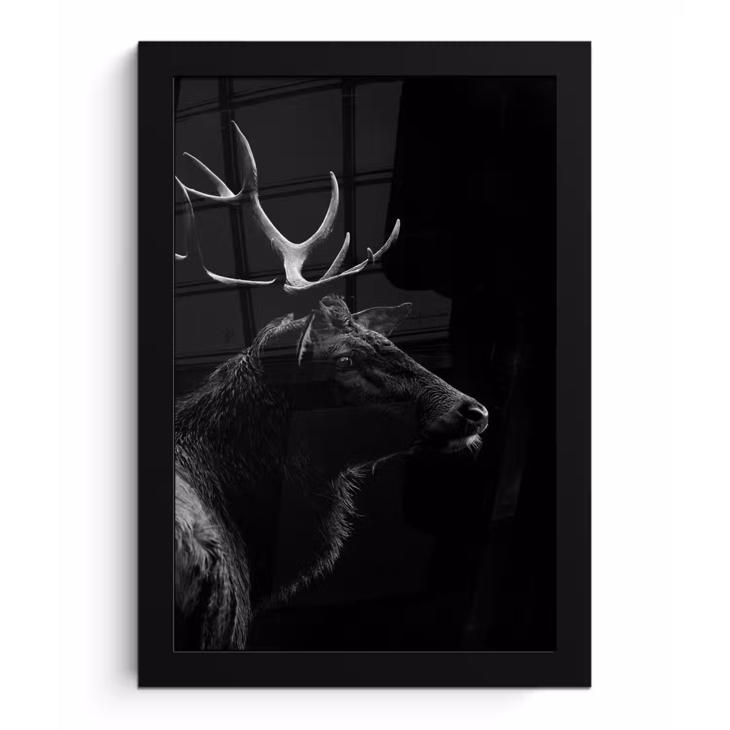 Hert - Zwart - Portret - Gewei - Dieren fotolijst zwart zonder passe partout klein -3d