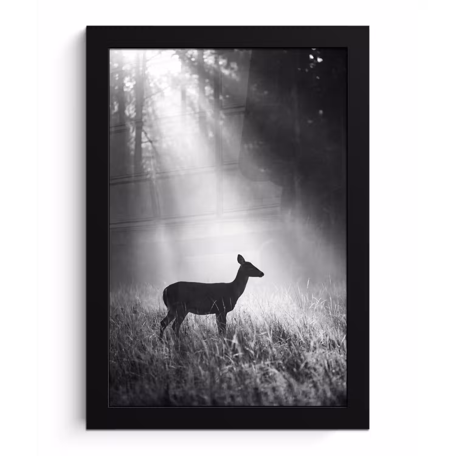 Hert - Bos - Zonnestralen - Zwart-wit - Natuur fotolijst zwart zonder passe partout klein -3d