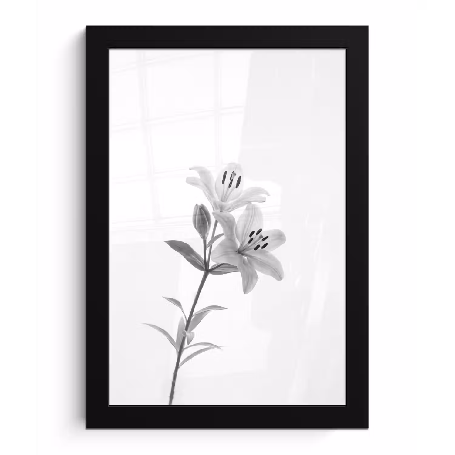 Lelies - Elegant - Zwart - Wit fotolijst zwart zonder passe partout klein -3d