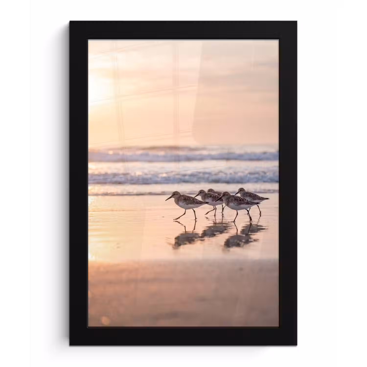 Zee - Vogels - Strand fotolijst zwart zonder passe partout klein -3d