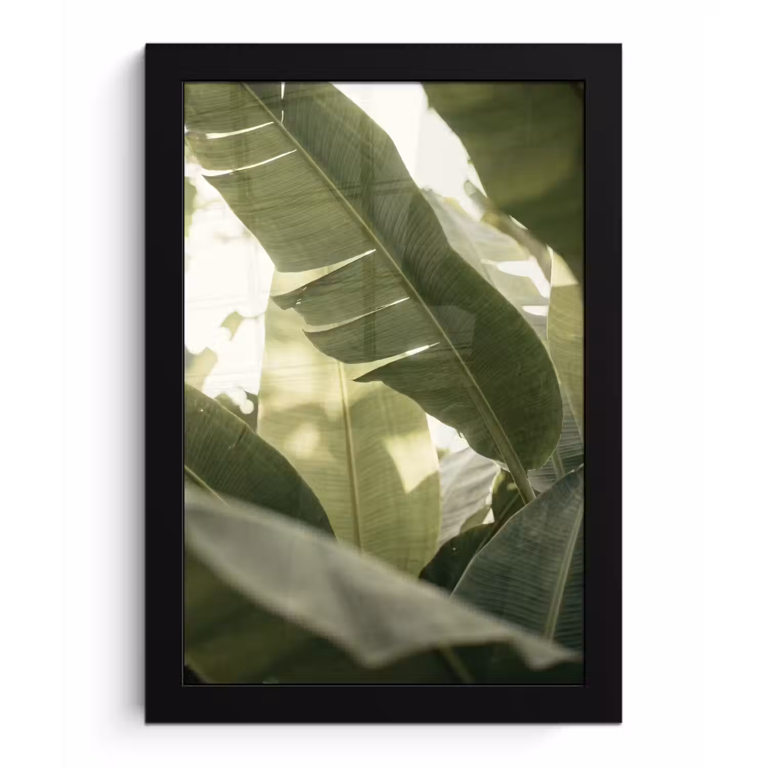 Natuur - Bladeren - Groen - Tropisch - Detail fotolijst zwart zonder passe partout klein -3d