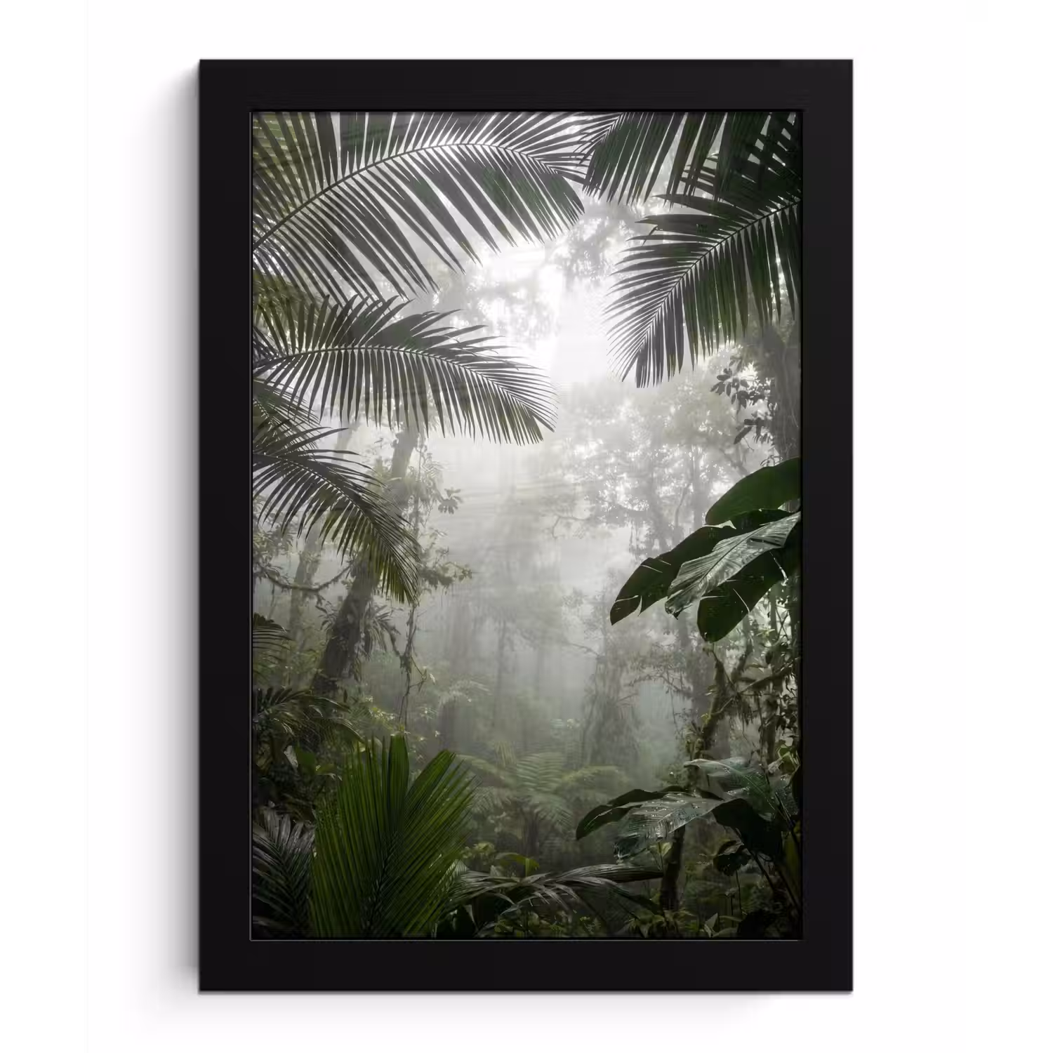 Natuur - Jungle - Mist - Groen - Bladeren fotolijst zwart zonder passe partout klein -3d