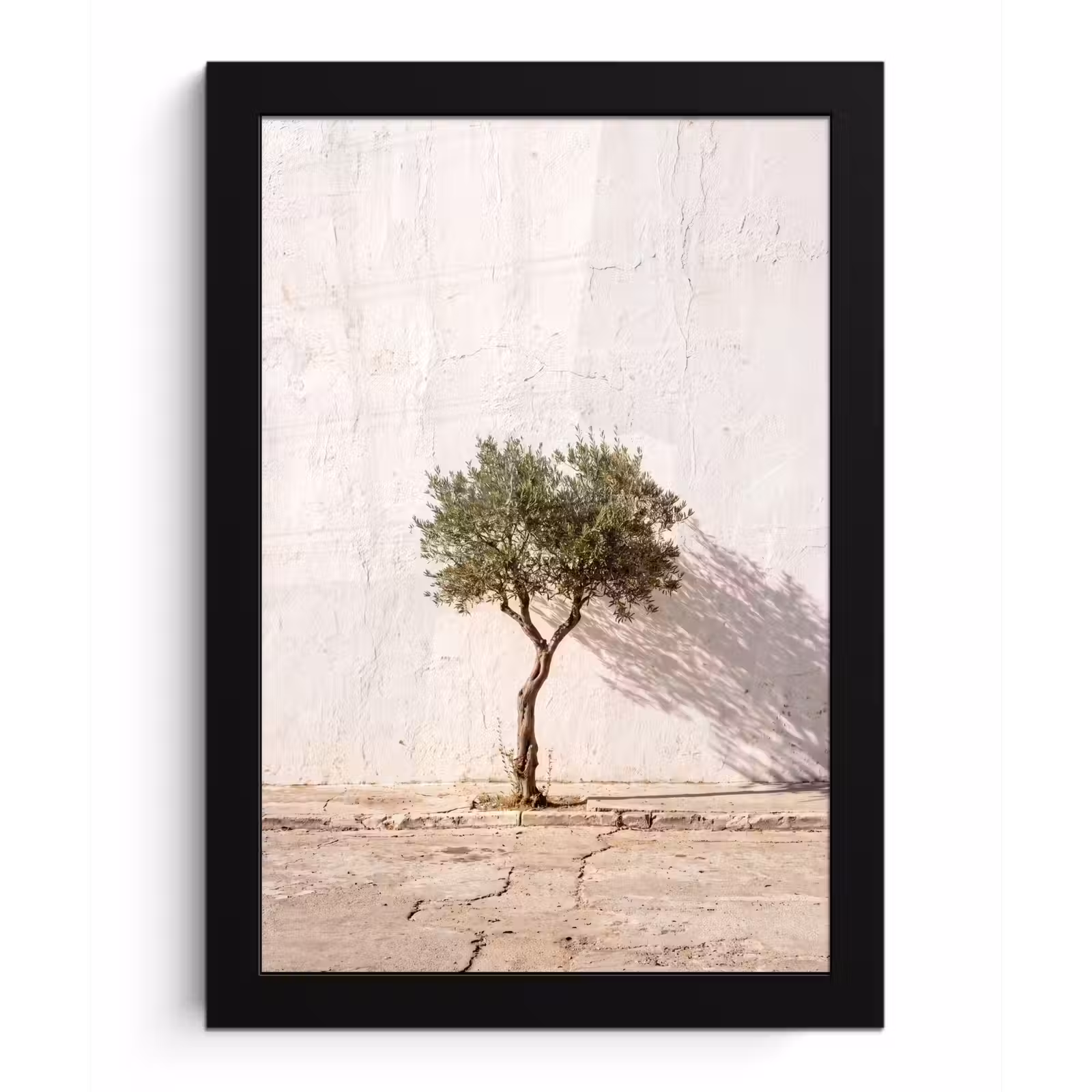 Bilder mit Rahmen - Olivenbaum – Wand – weiß - Olijfboom - muur - wit fotolijst zwart zonder passe partout klein