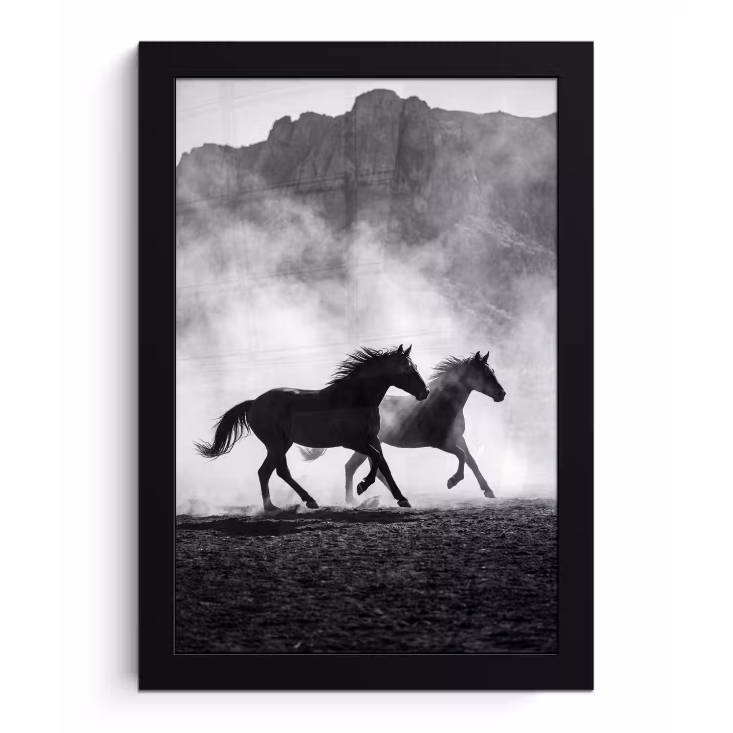 Paard - Ren - Stof - Zwart-wit - Dieren fotolijst zwart zonder passe partout klein -3d