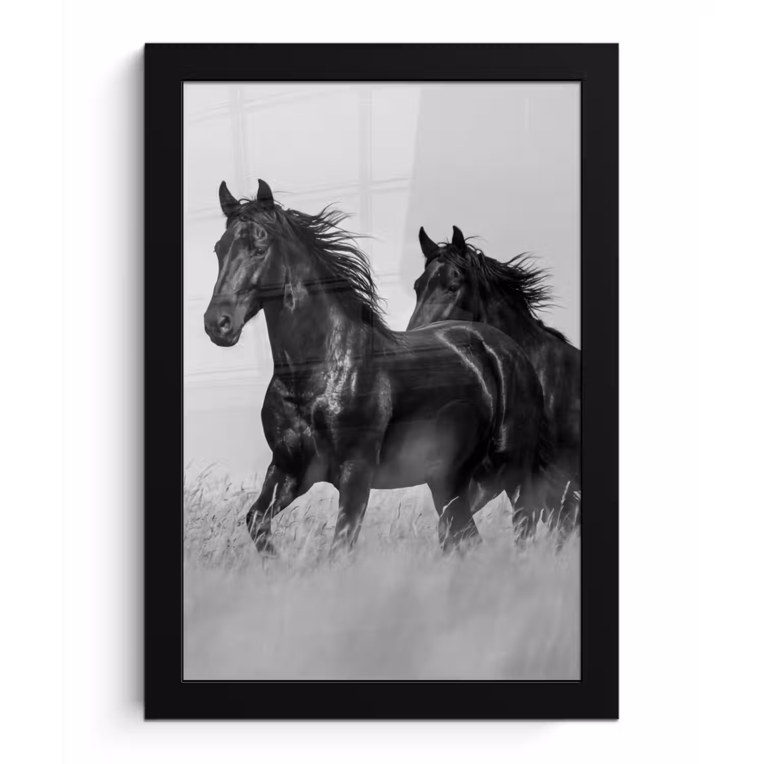 Paarden - Gras - Zwart - Wit fotolijst zwart zonder passe partout klein -3d