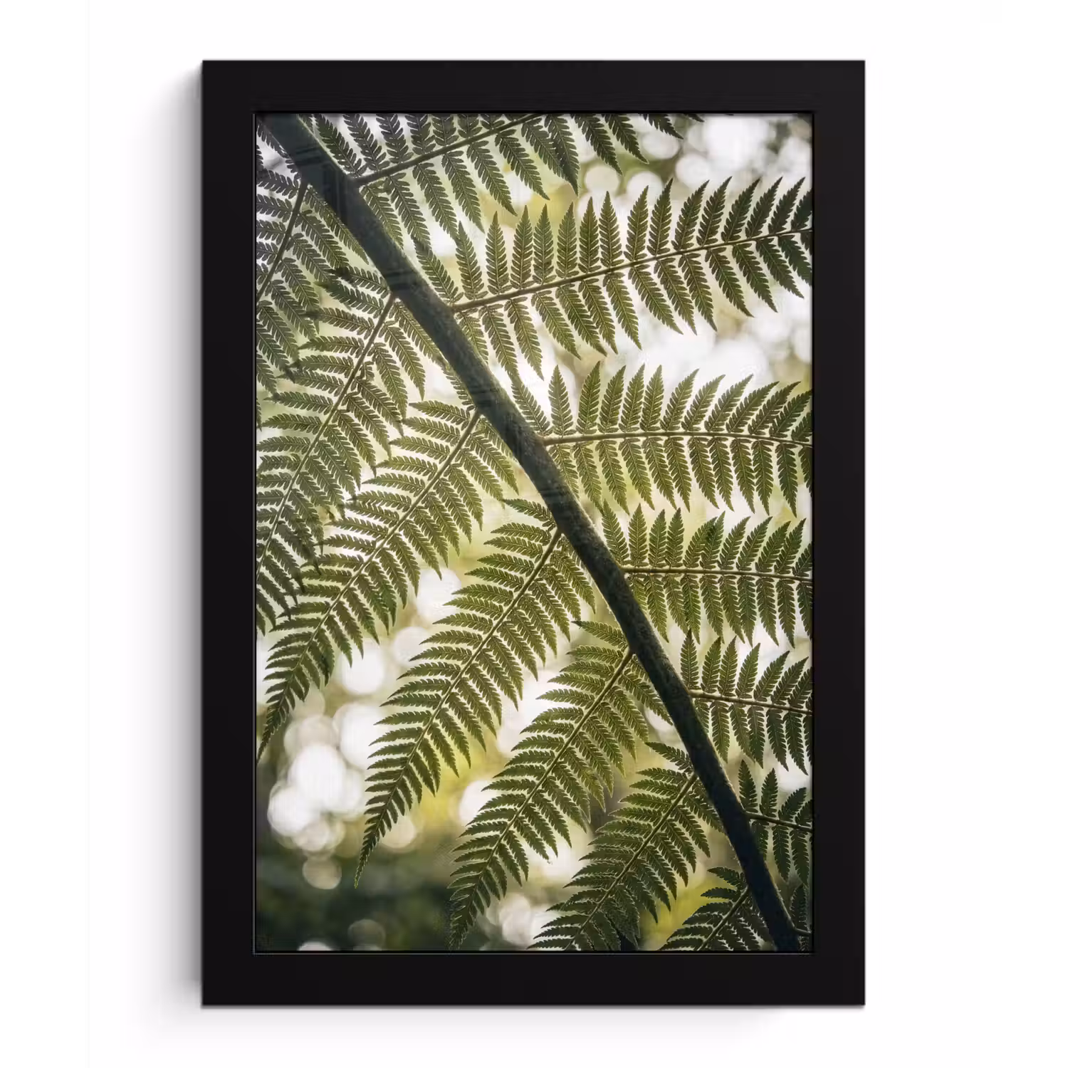Plant - Blad - Natuur - Groen - Detail fotolijst zwart zonder passe partout klein -3d