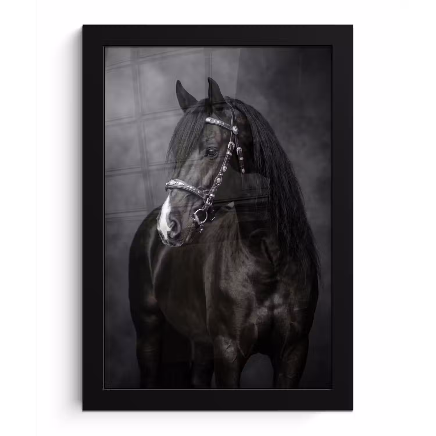 Portret - Paard - Zwart fotolijst zwart zonder passe partout klein -3d