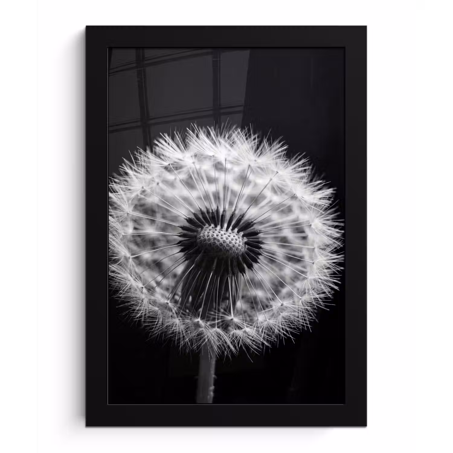 Paardenbloem - Zwart - Wit fotolijst zwart zonder passe partout klein -3d