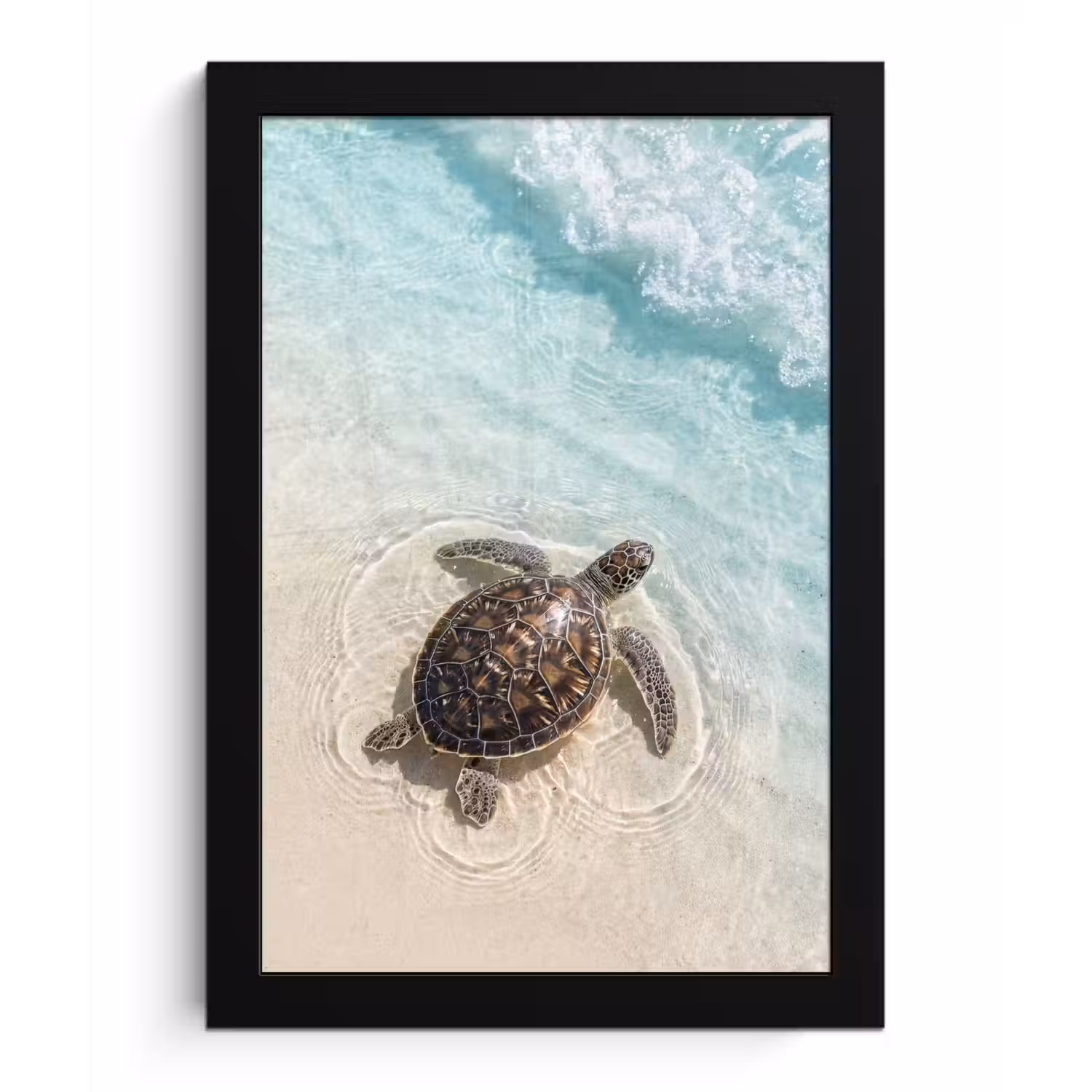 Schildpad - Helder water - Strand - Dieren - Natuur fotolijst zwart zonder passe partout klein -3d