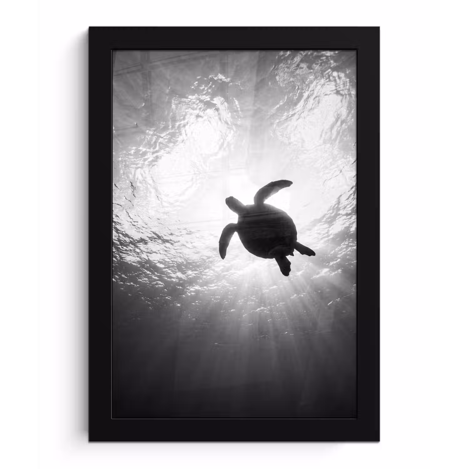 Schildpad - Onderwater - Lichtstralen - Oceaan - Zwart-wit fotolijst zwart zonder passe partout klein -3d