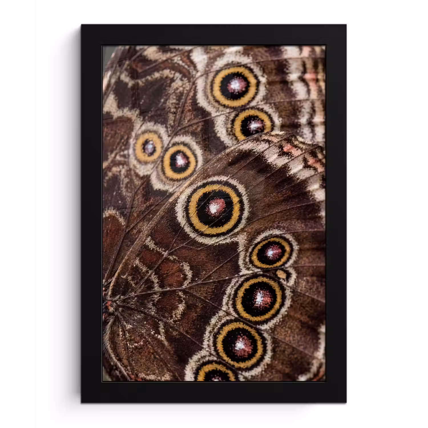 Vlinder - Vleugel - Abstract fotolijst zwart zonder passe partout klein -3d