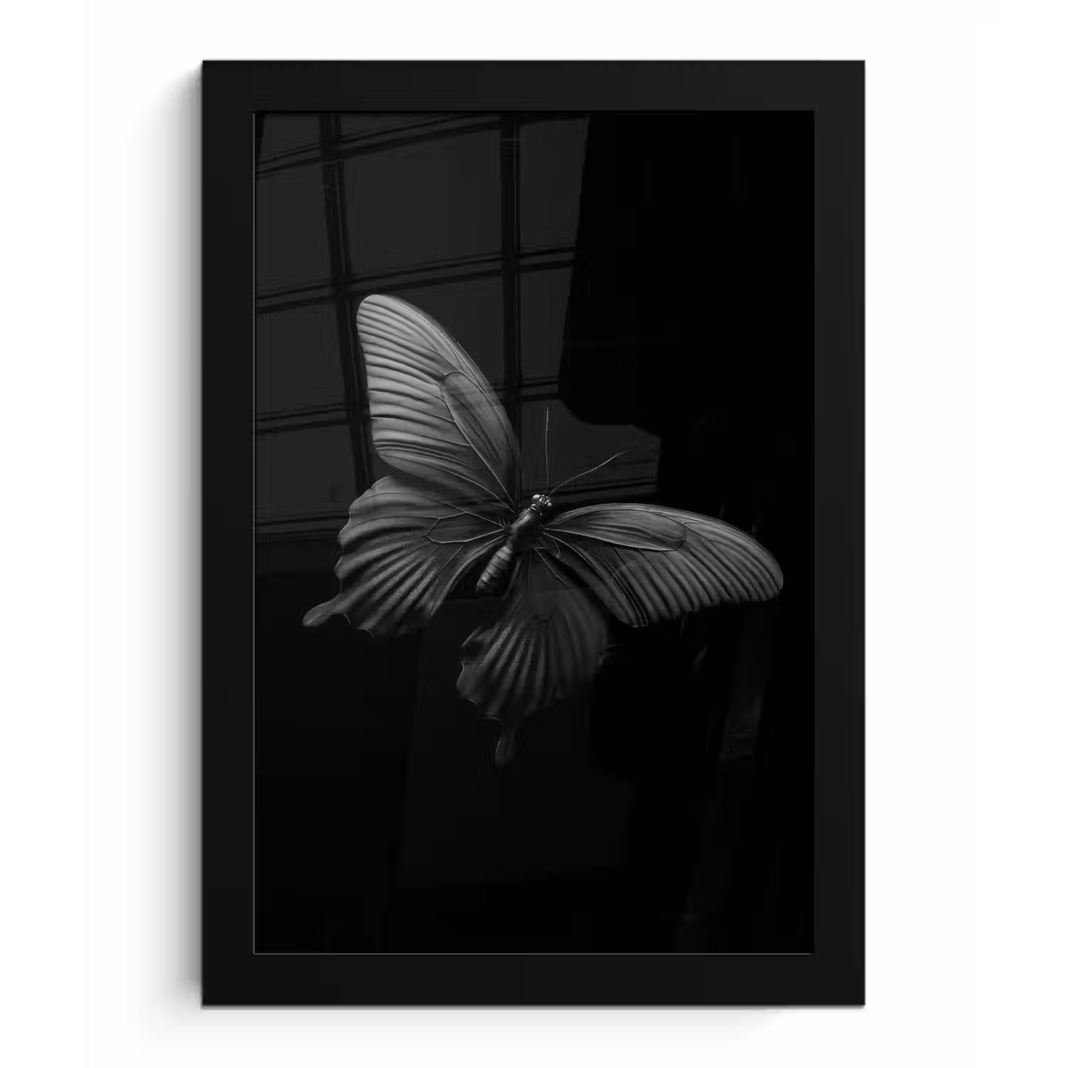 Vlinder - Zwart - Insect - Dieren fotolijst zwart zonder passe partout klein -3d