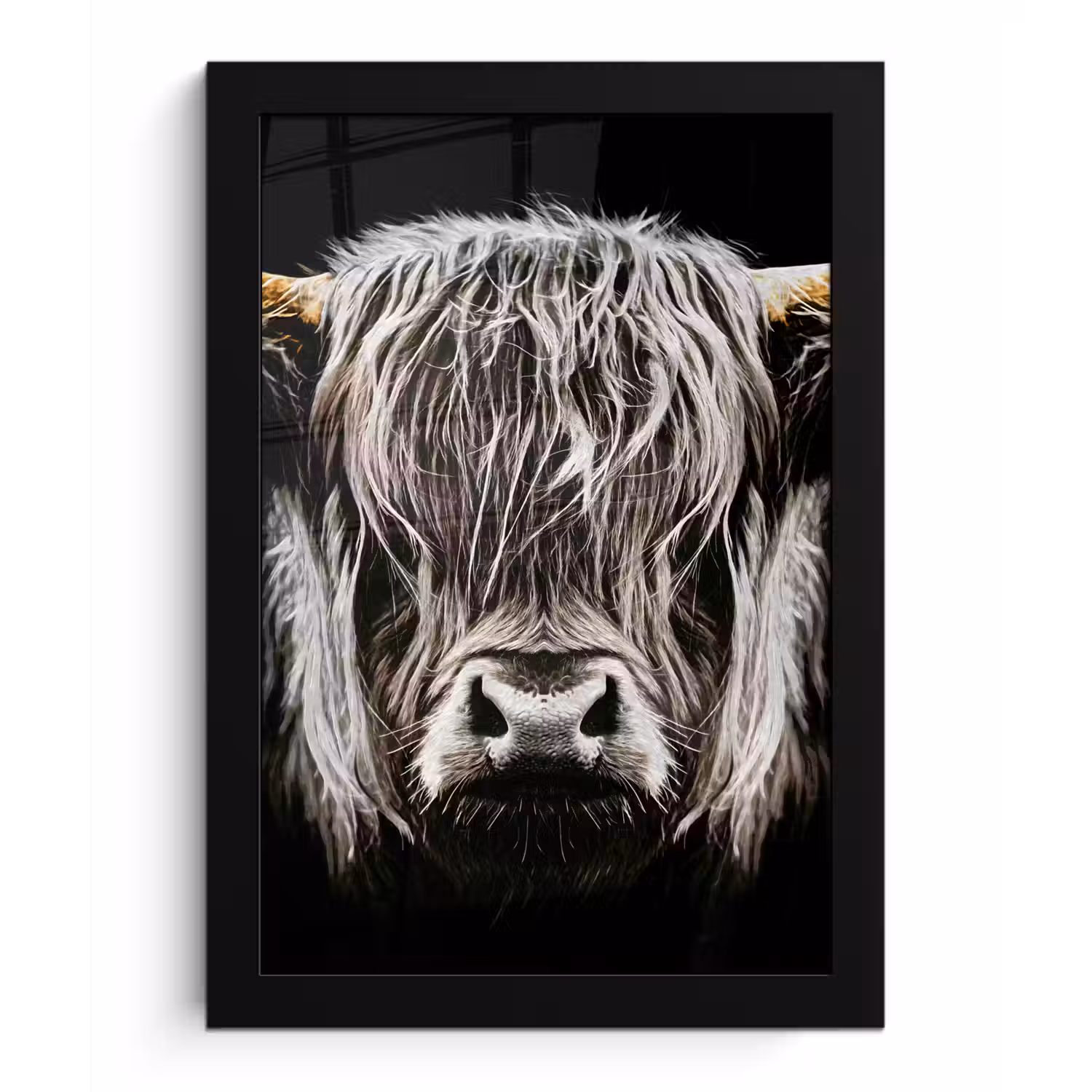 Schotse hooglander - Goud - Hoorns - Zwart wit - Koe - Dieren fotolijst zwart zonder passe partout klein -3d