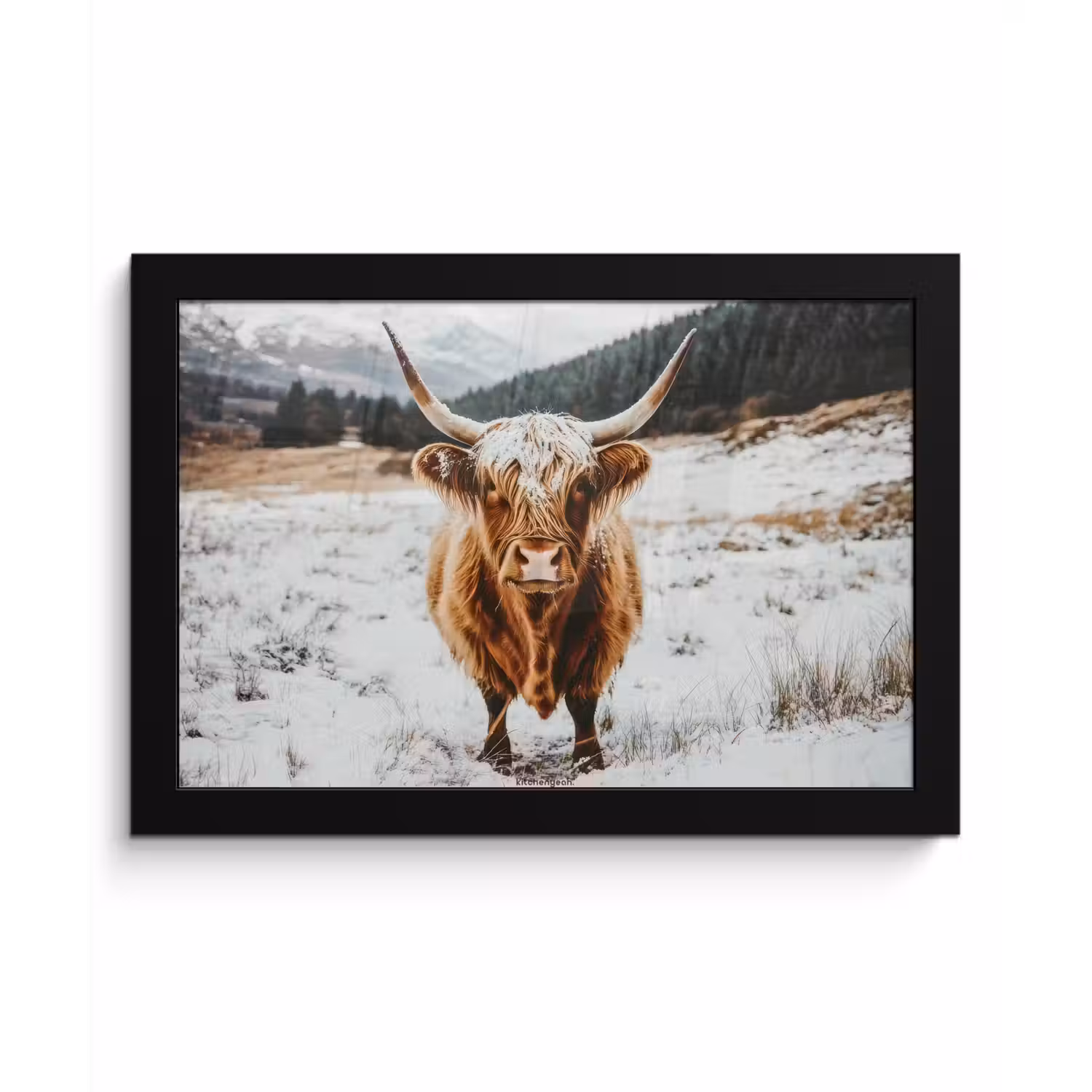 Schotse Hooglander - Sneeuw - Winter - Dieren fotolijst zwart zonder passe partout klein -3d