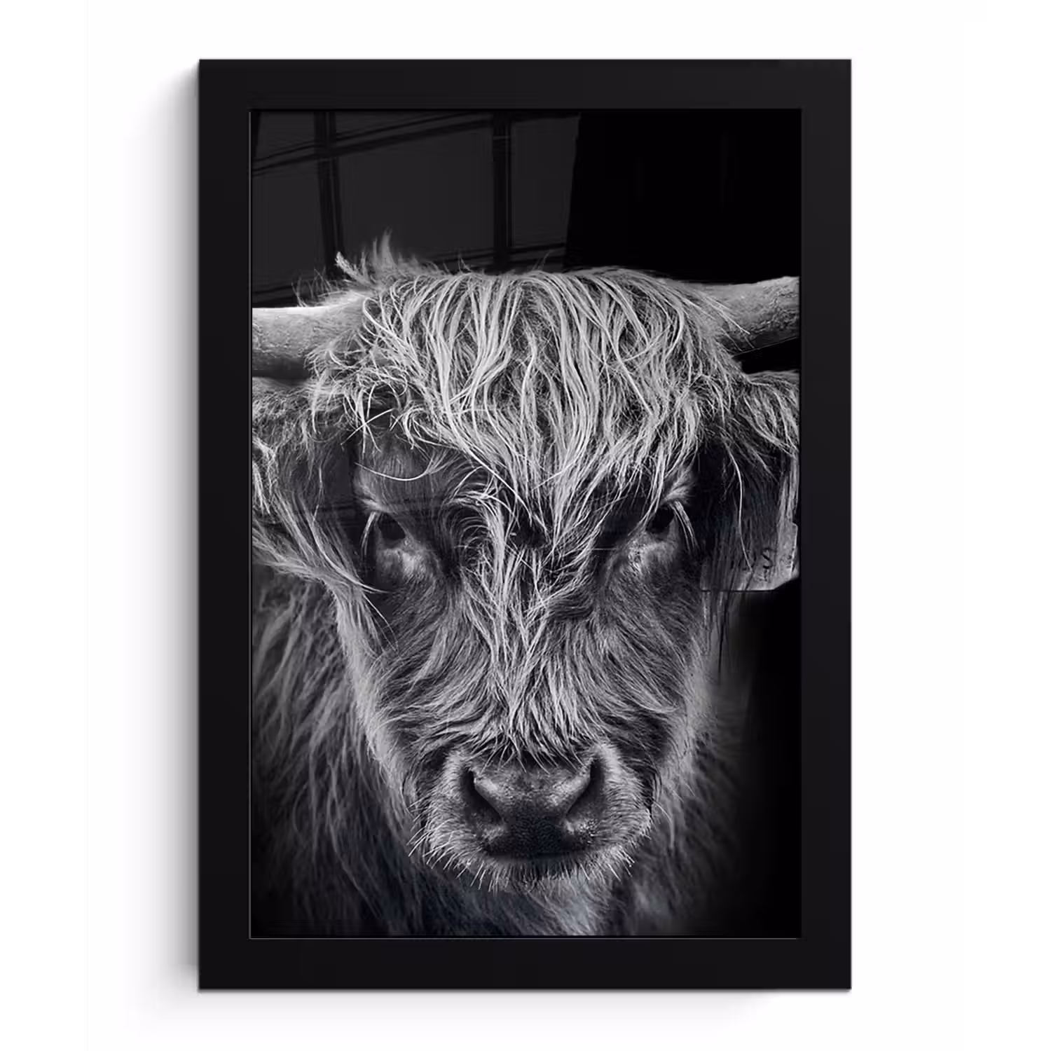 Schotse hooglander - Zwart - Koe - Dieren fotolijst zwart zonder passe partout klein -3d