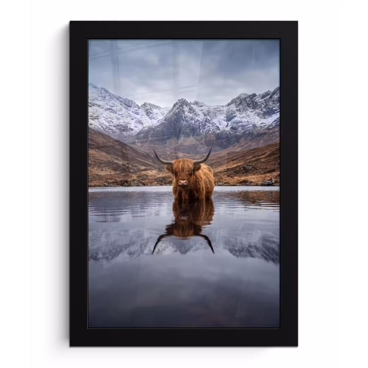 Schotse hooglander - Bruin - Water fotolijst zwart zonder passe partout klein -3d