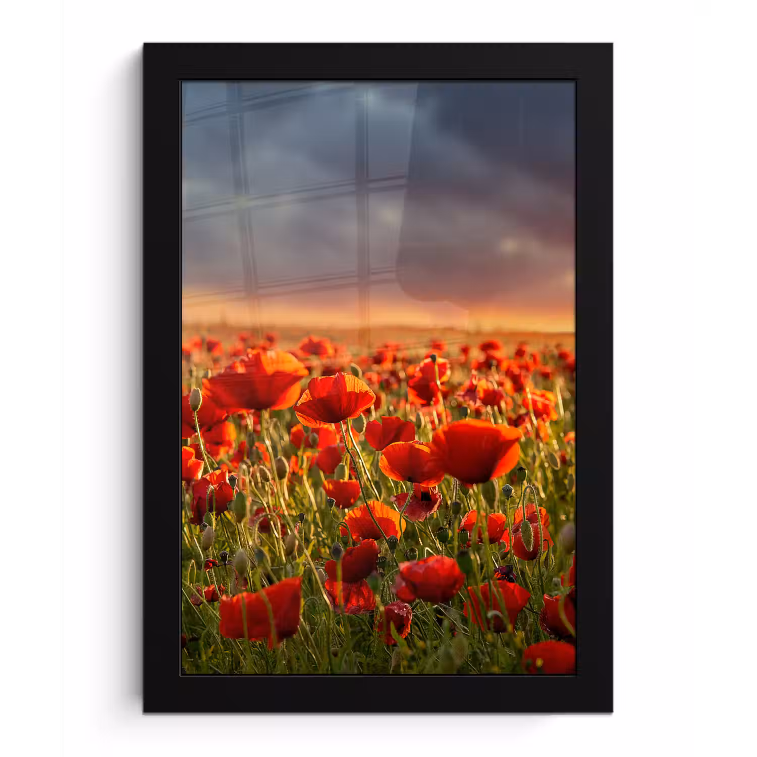 Zonsondergang - Klaprozen - Rood - Bloemen - Veld - Natuur fotolijst zwart zonder passe partout klein -3d