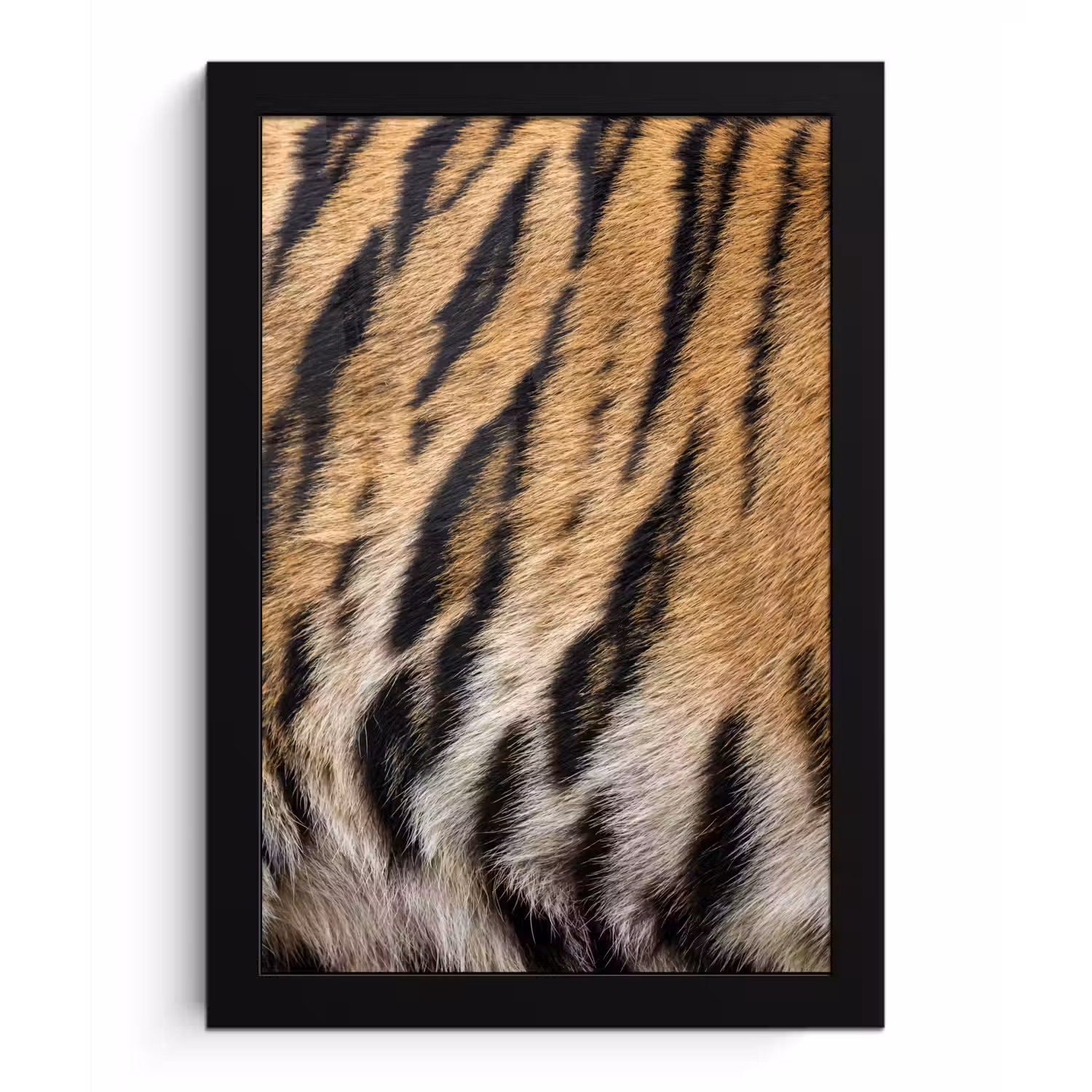 Tijgervacht - Klassiek - Zwart fotolijst zwart zonder passe partout klein -3d