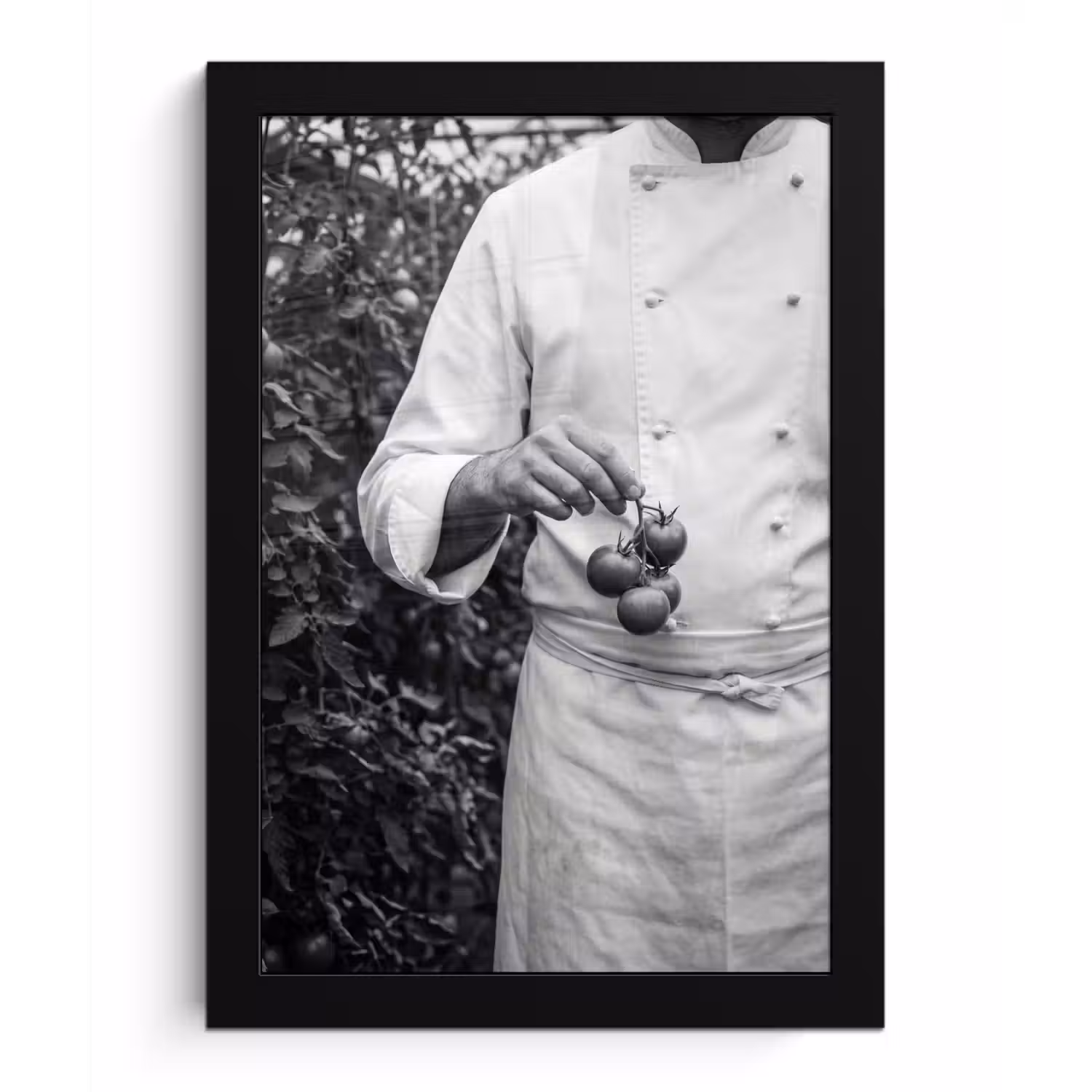 Tomaten - Chef - Zwart - Wit fotolijst zwart zonder passe partout klein -3d