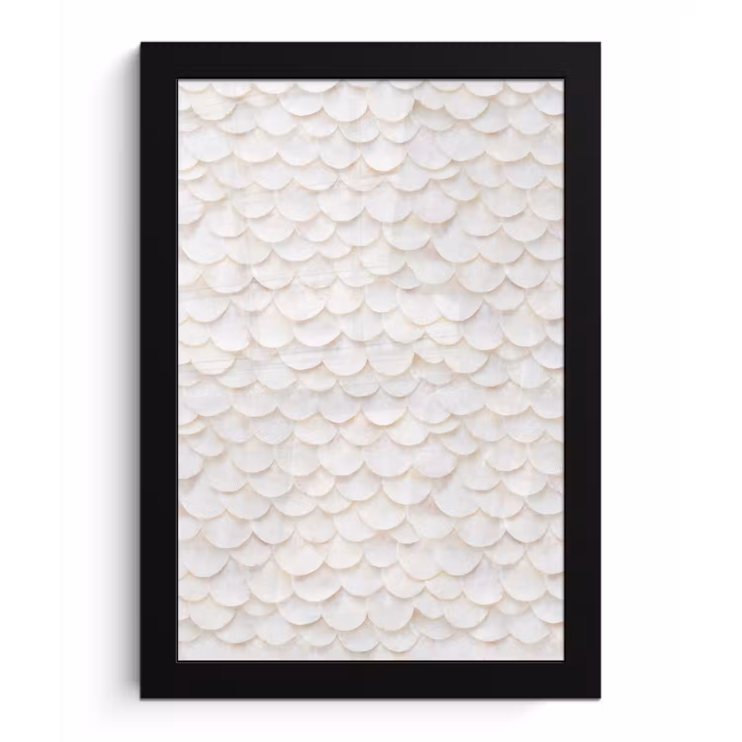 Schubben - Wit - Elegant fotolijst zwart zonder passe partout klein 224 -3d