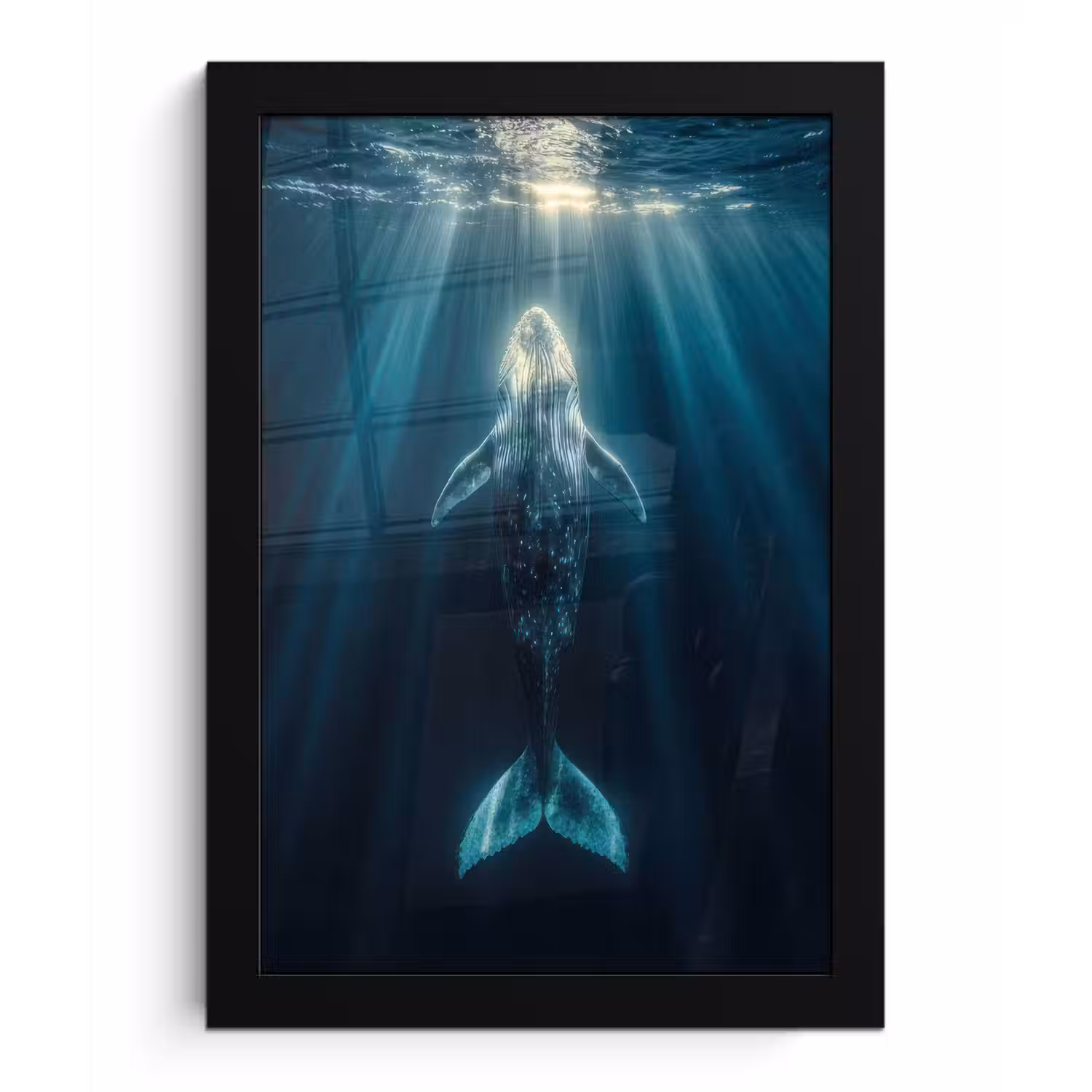 Walvis - Water - Zonnestralen - Blauw fotolijst zwart zonder passe partout klein -3d